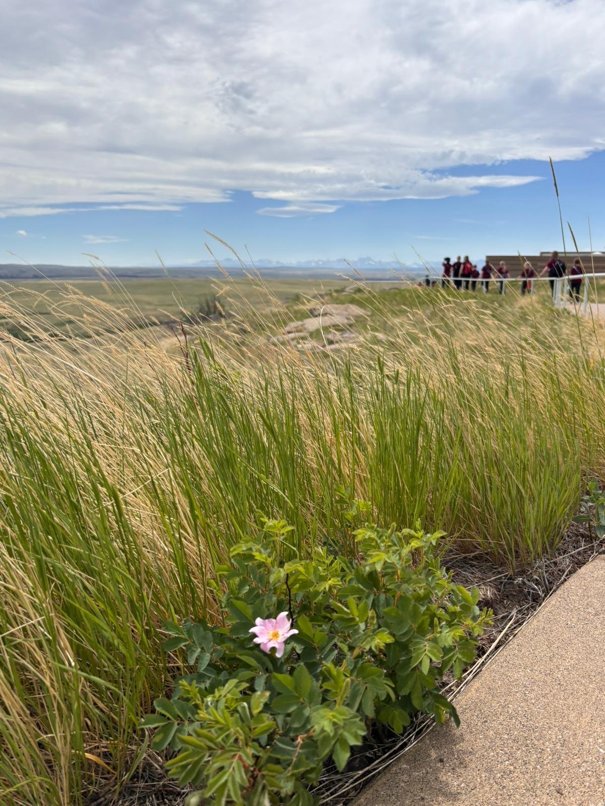 Cantiga_Tour_2025_Day-3_Head-Smashed-In-Buffalo-Jump_1.JPG