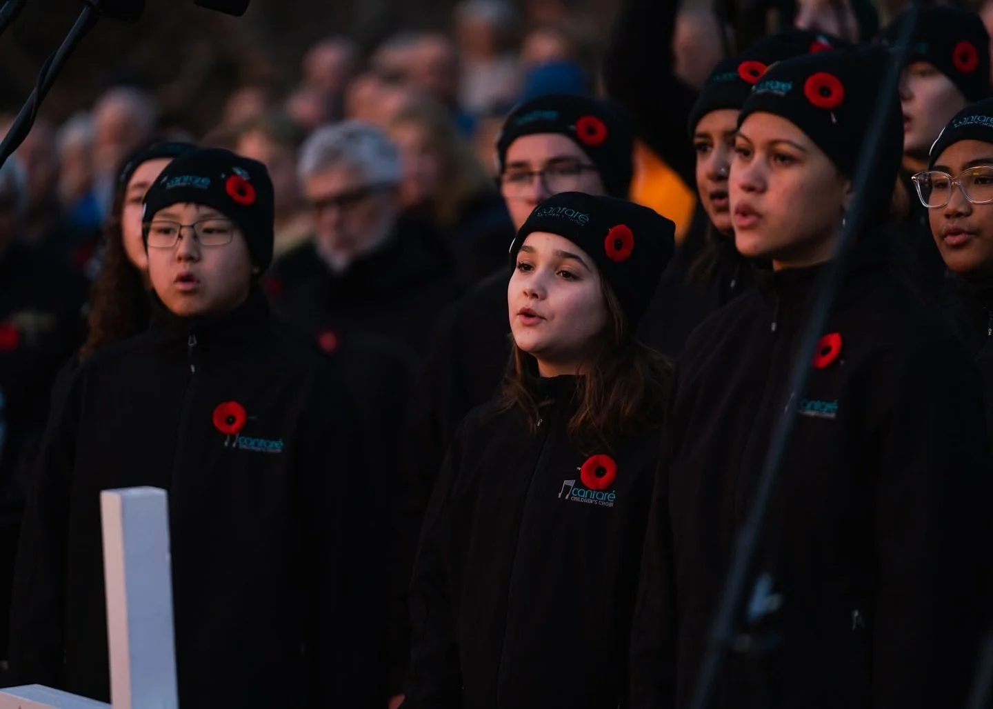 NIGHT OF LIGHTS at the @field_of_crosses 
November 10, 2025