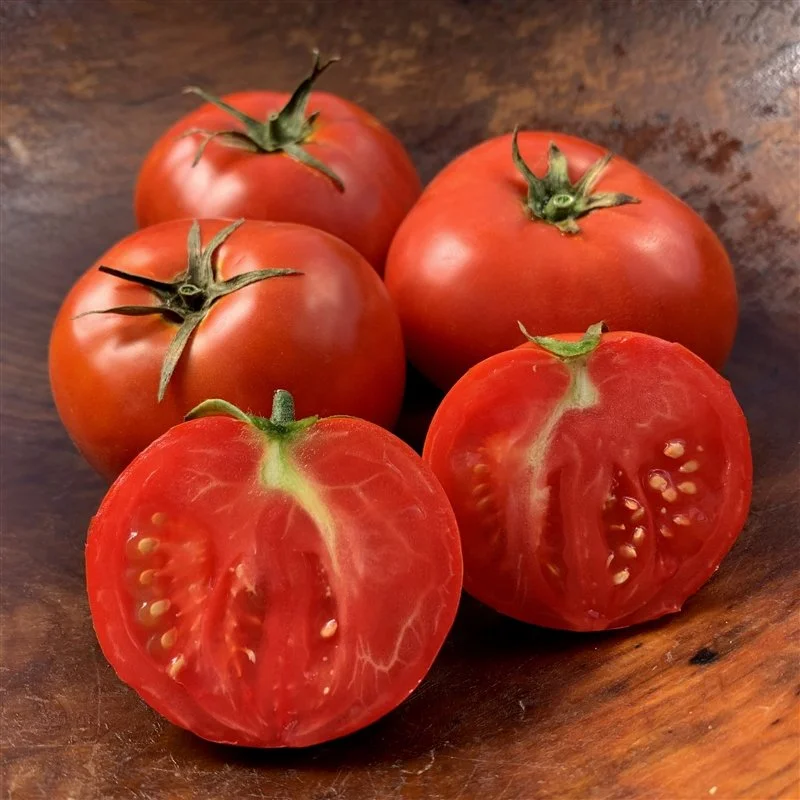 Tomato, Bush Beefsteak