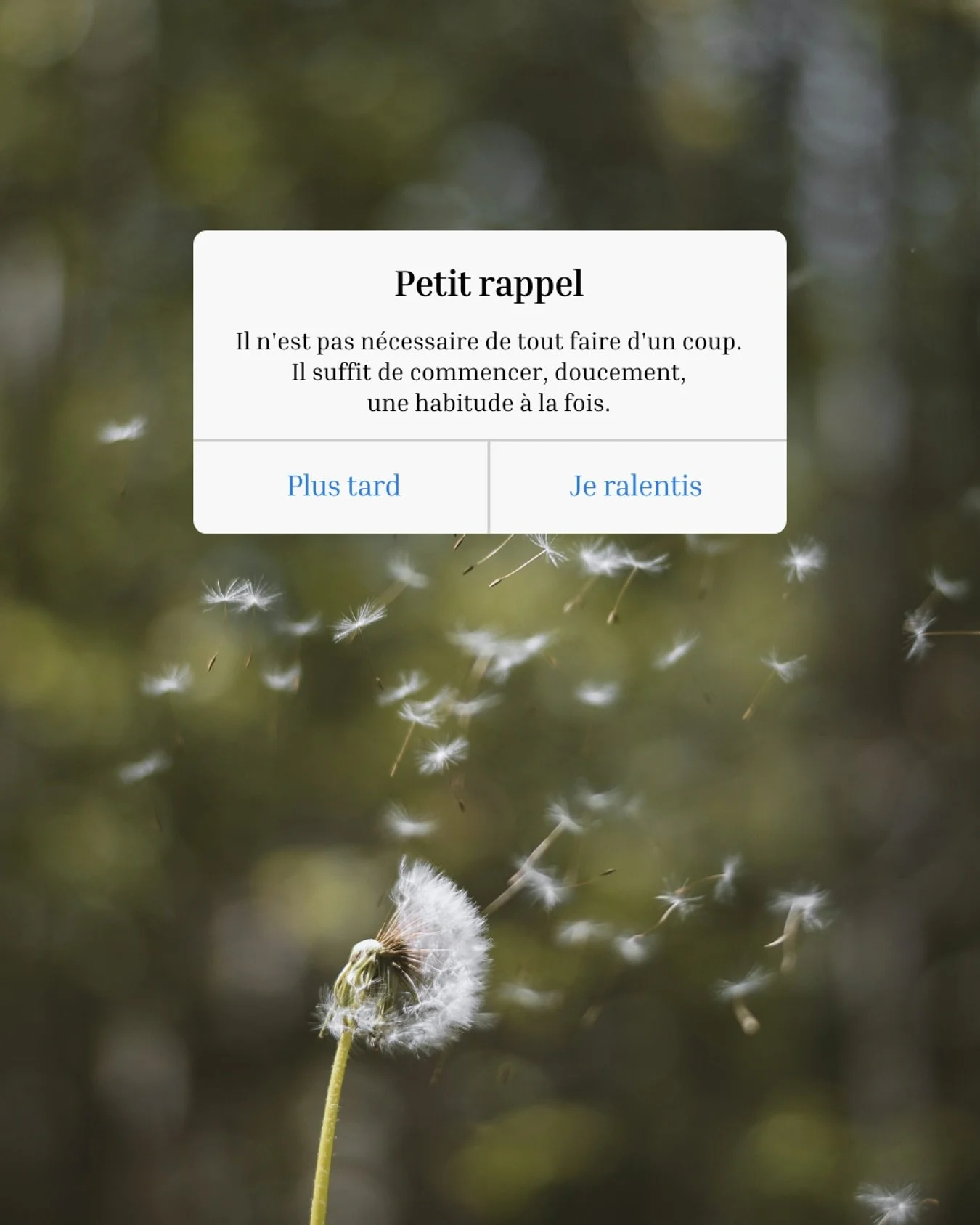 Ralentir. Vos hormones vous remercieront.

Nous vivons dans un monde qui valorise la performance et qui normalise l&rsquo;&eacute;puisement.
La charge des &eacute;v&eacute;nements et la pression constante laissent des empreintes sur le syst&egrave;me