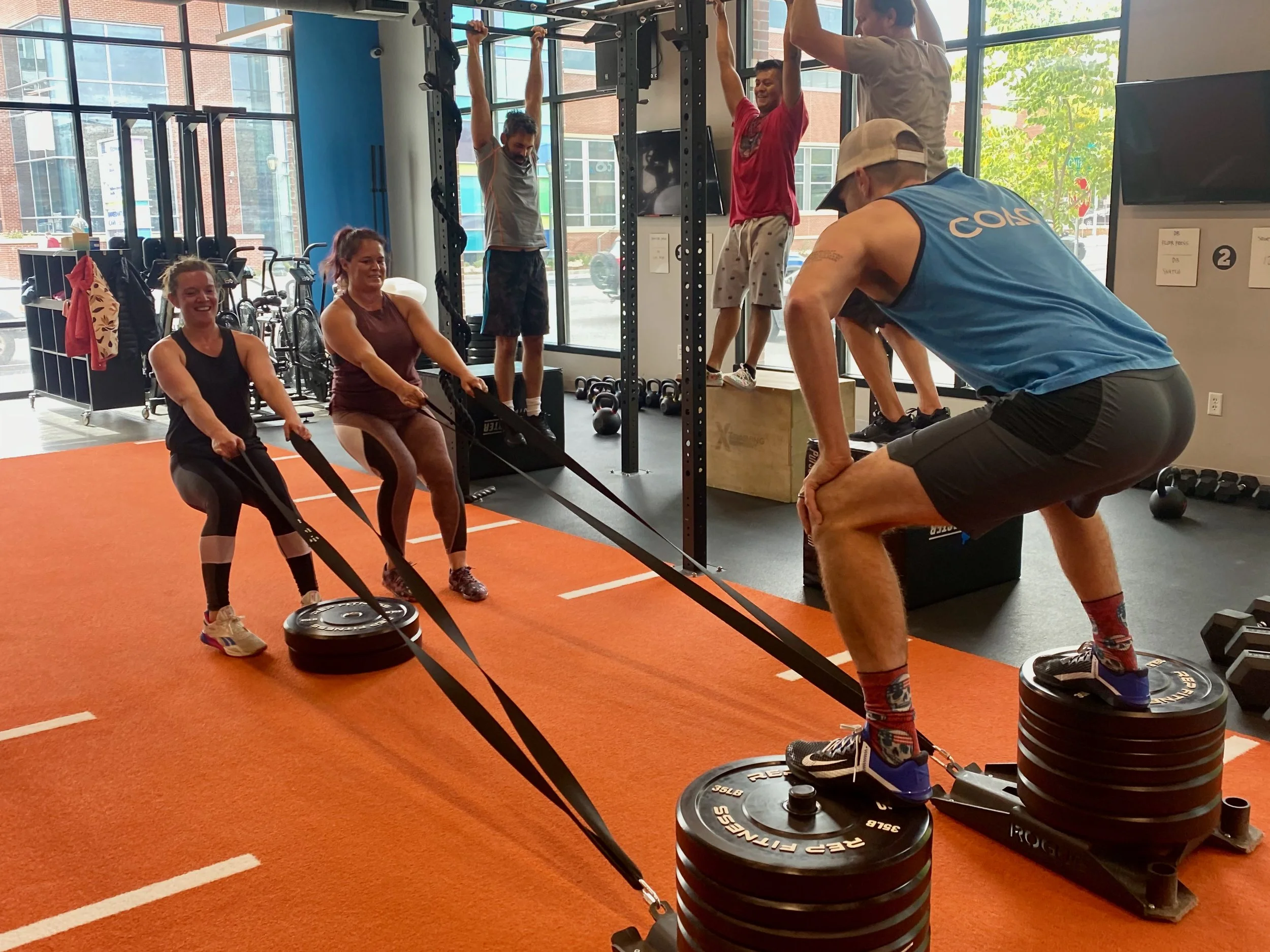 Sled Pull Base6Fitness