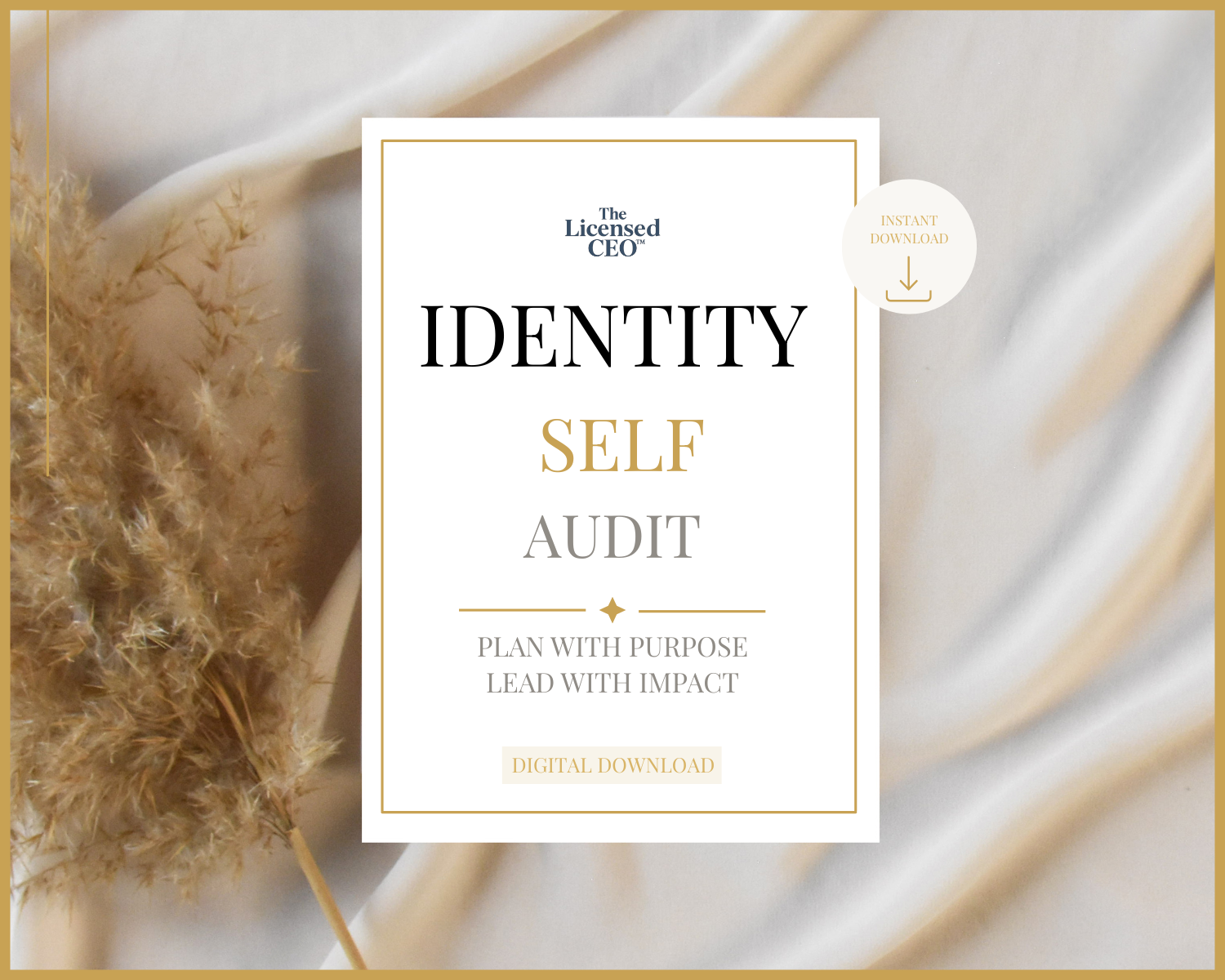 CEO Identity Self-Audit