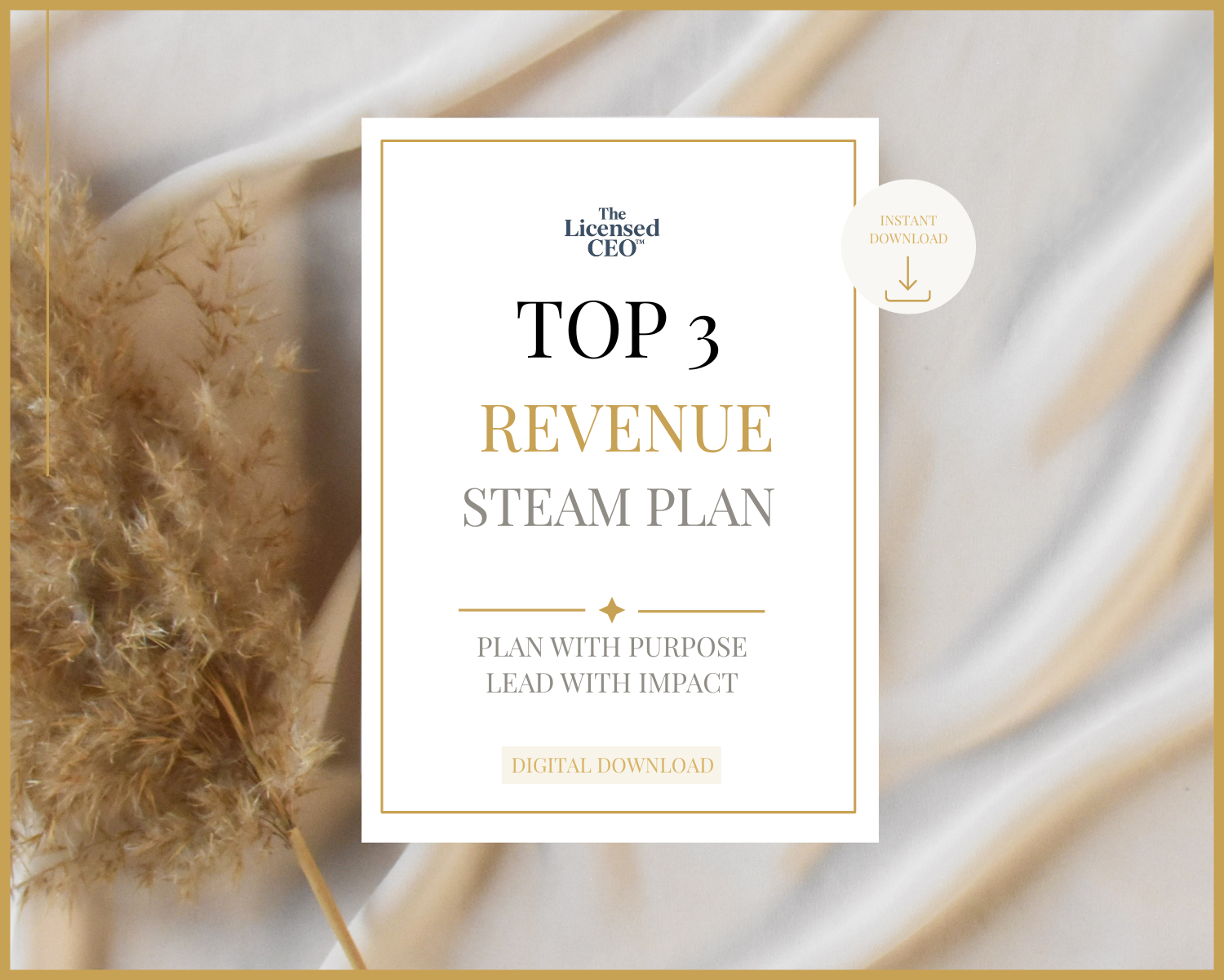 Top 3 Revenue Stream Plan