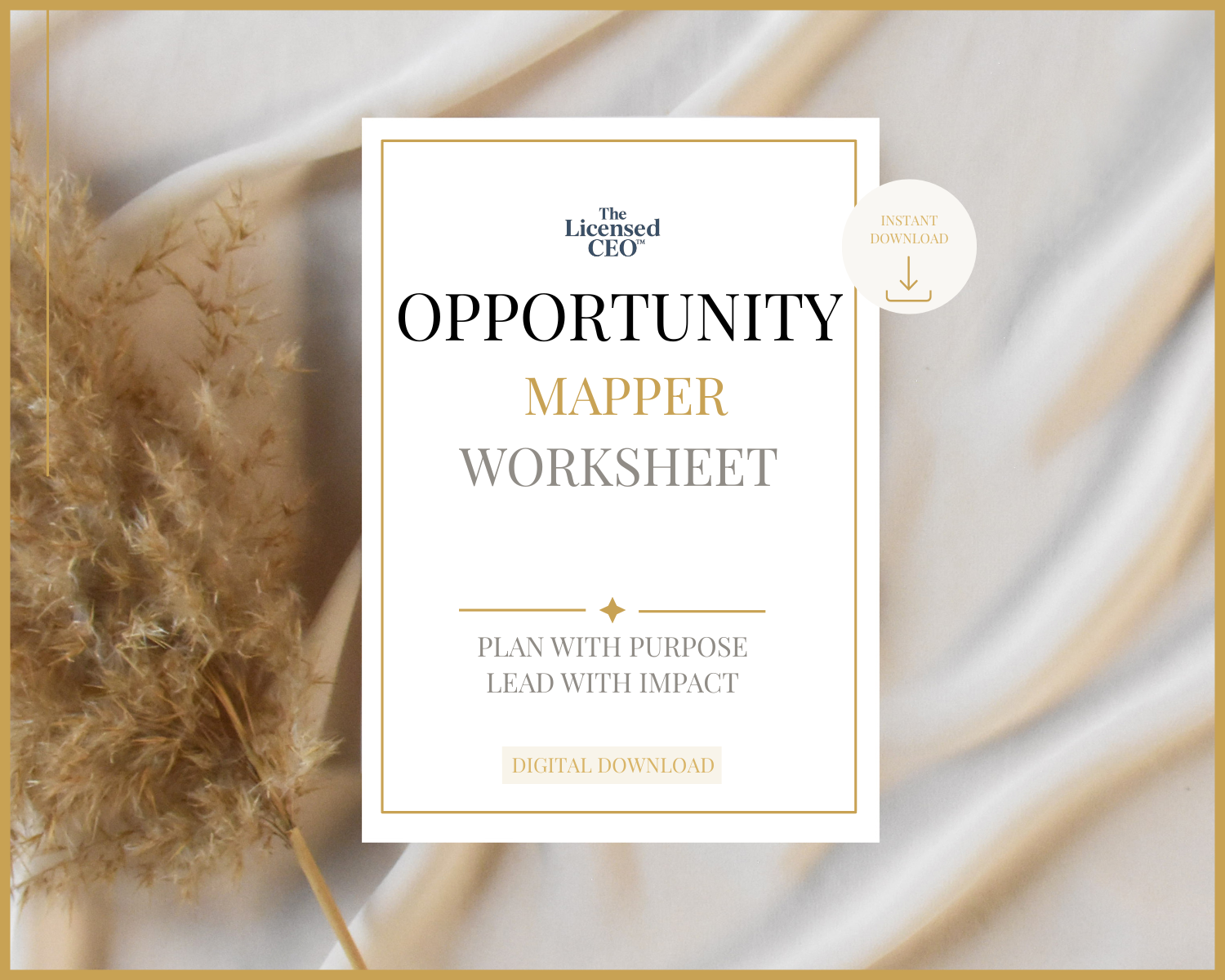 Opportunity Mapper Worksheet