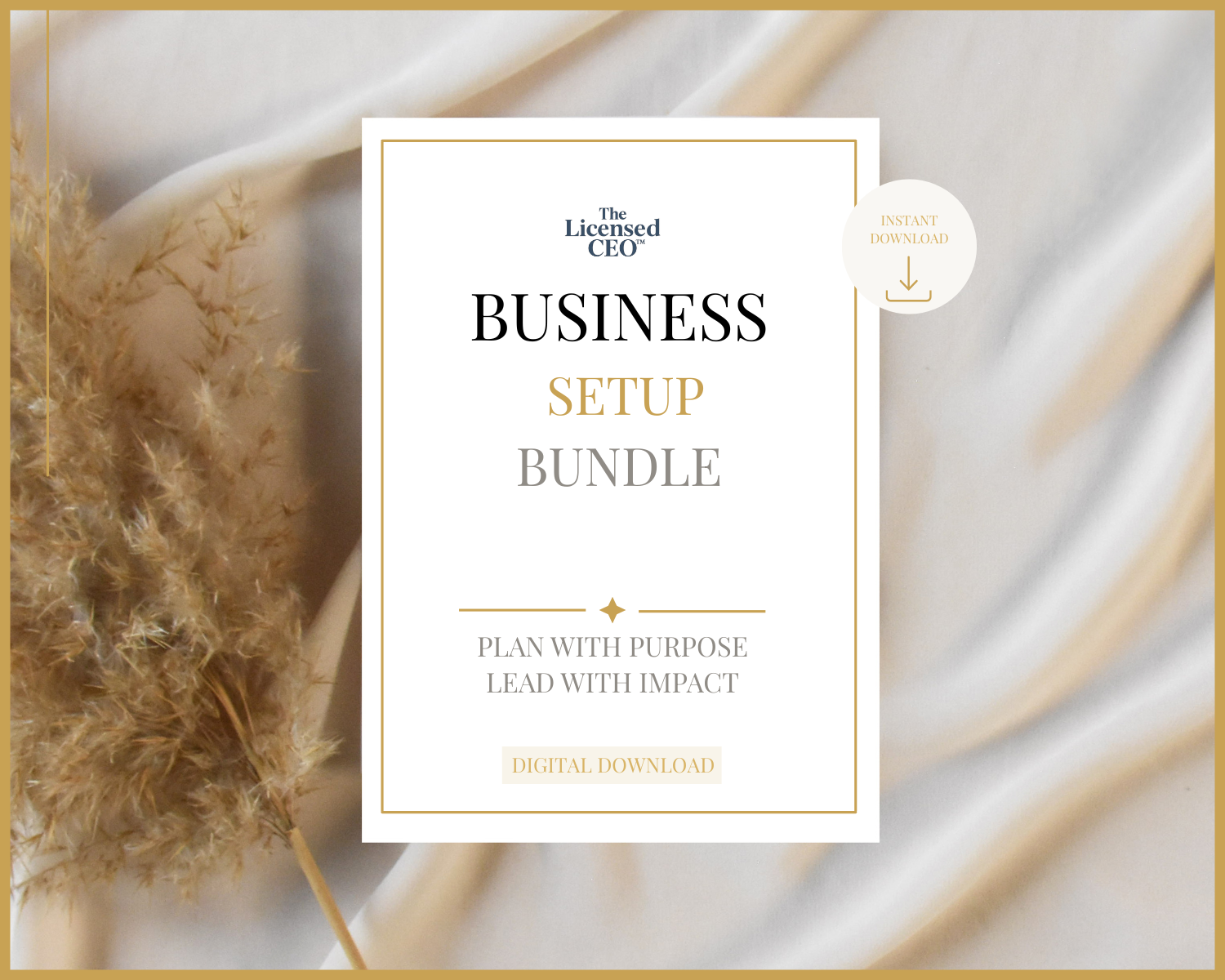 Business Setup Bundle