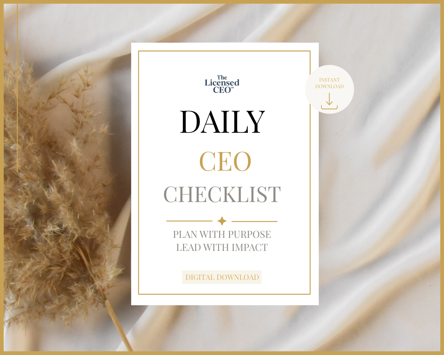 Daily CEO Checklist