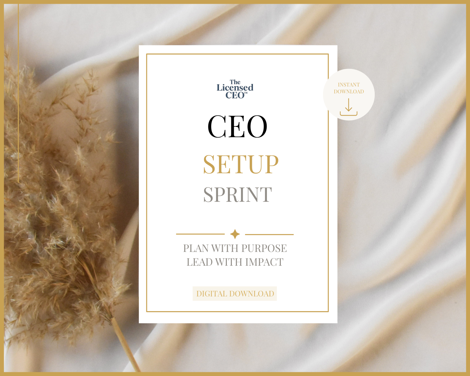 CEO Setup Sprint