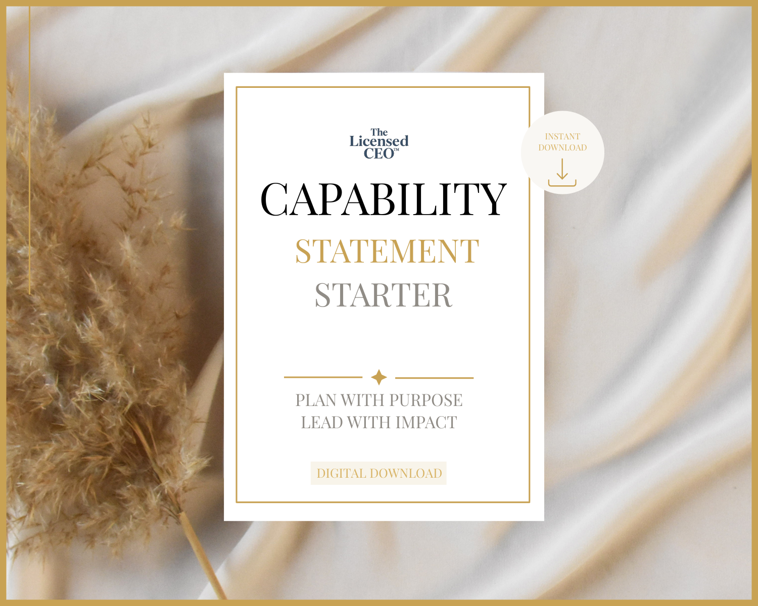 capability statement starter.png