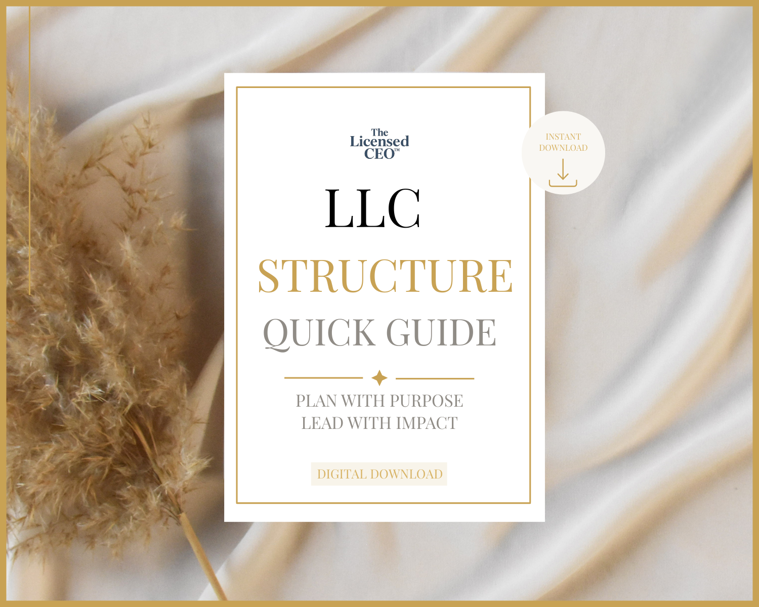 LLC Structure Quick Guide