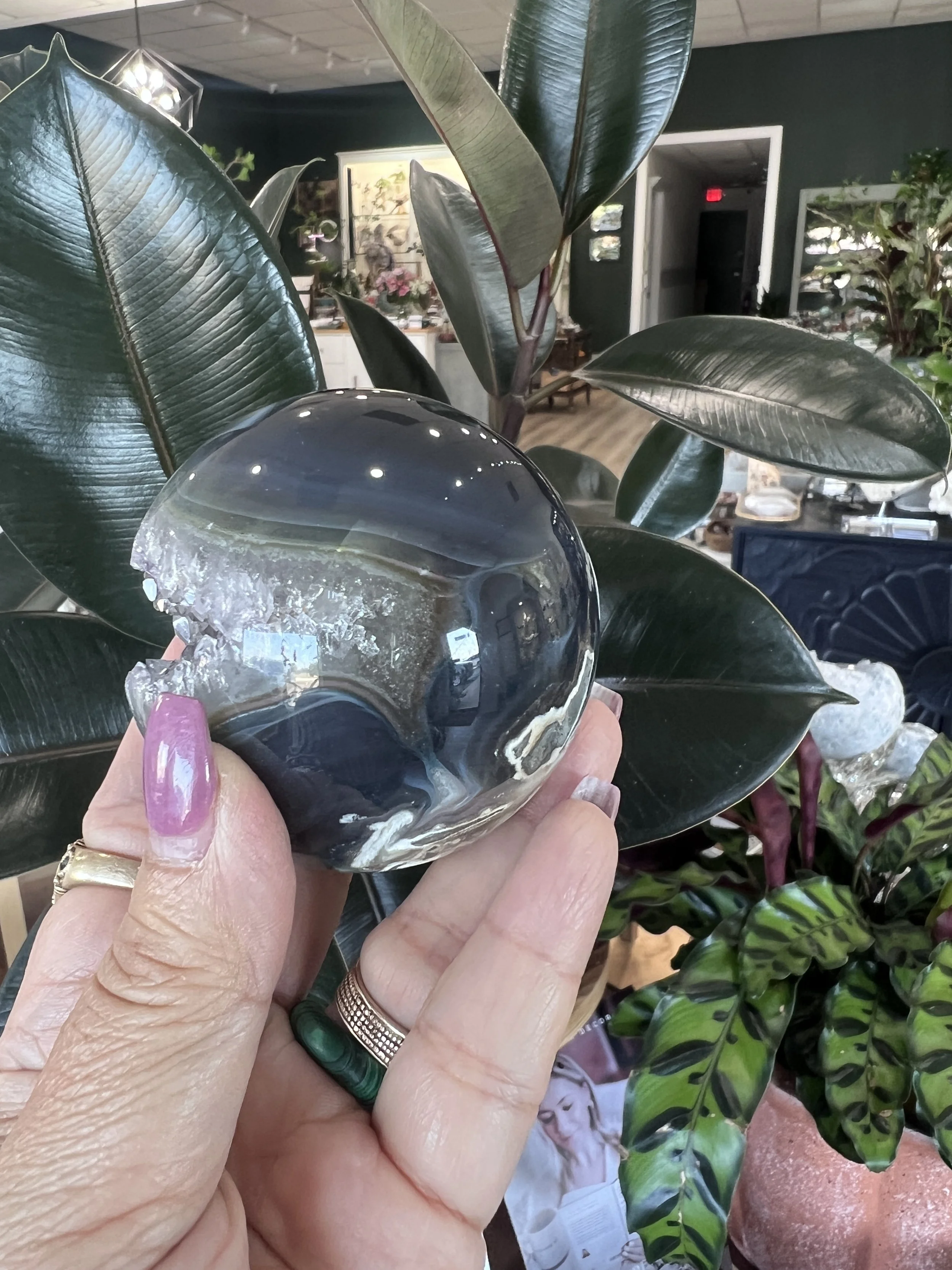 image1[1].jpeg