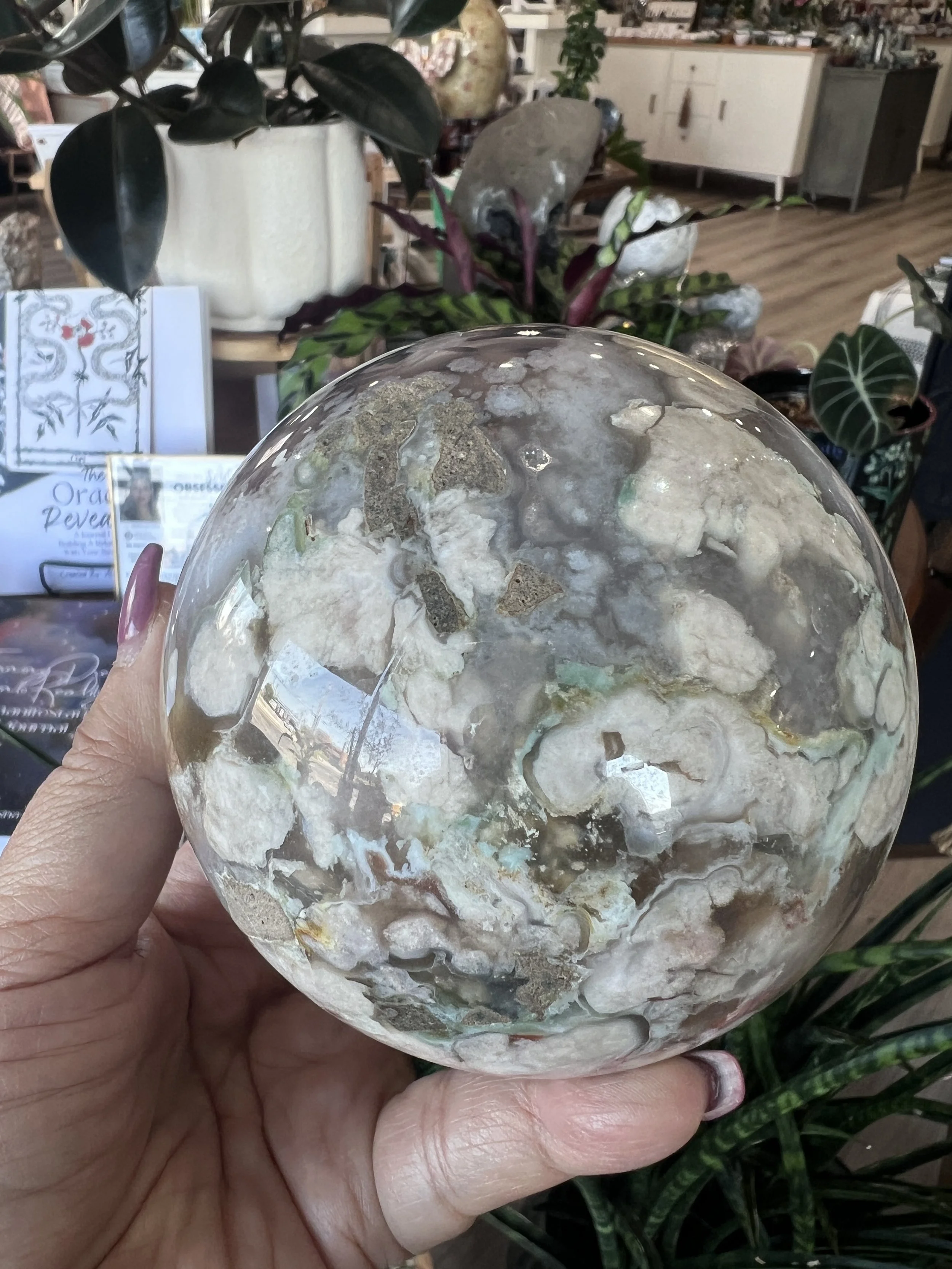 image4[1].jpeg