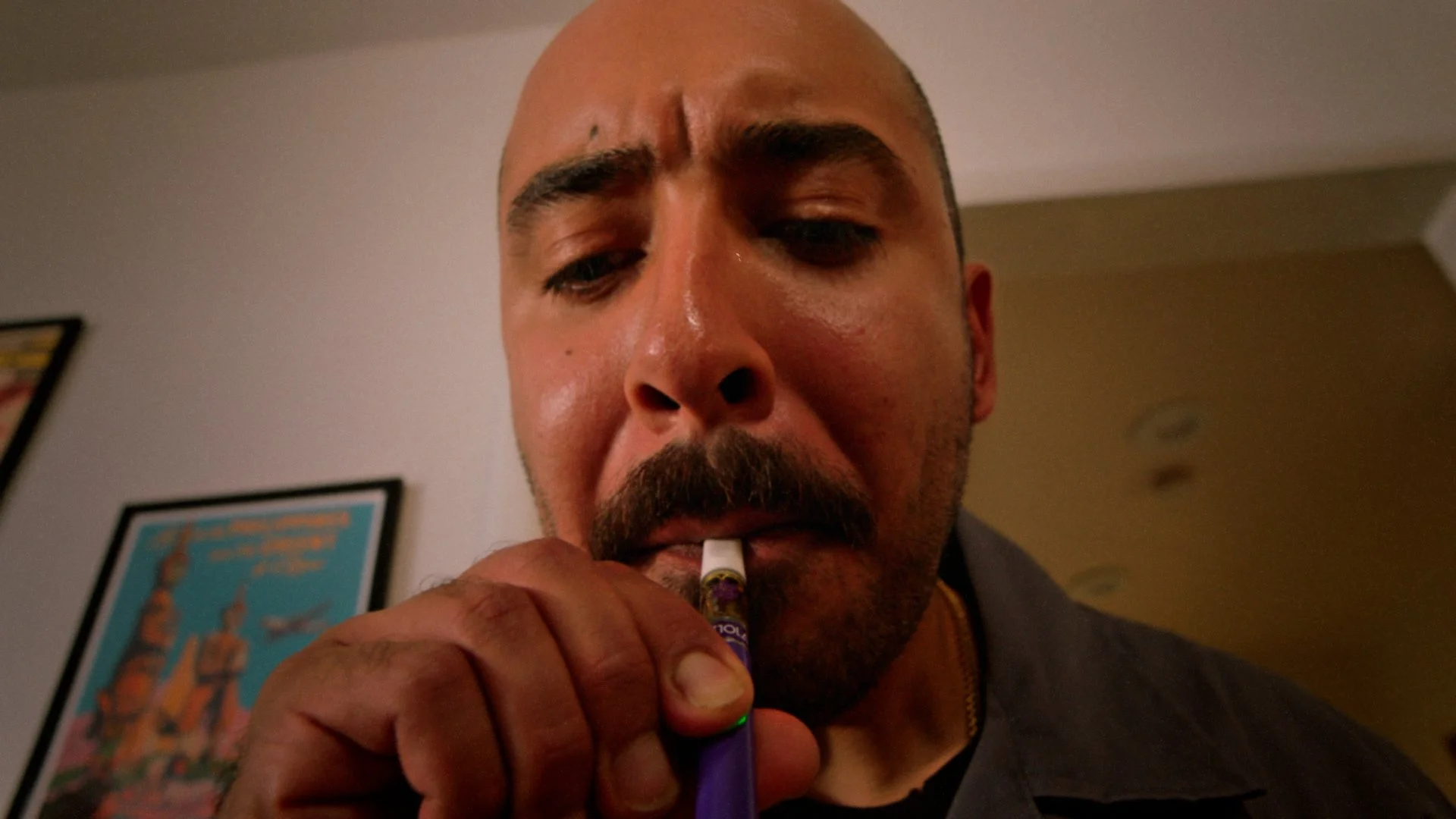 Viola Vibe System II - Vapes & Infused Pre-rolls