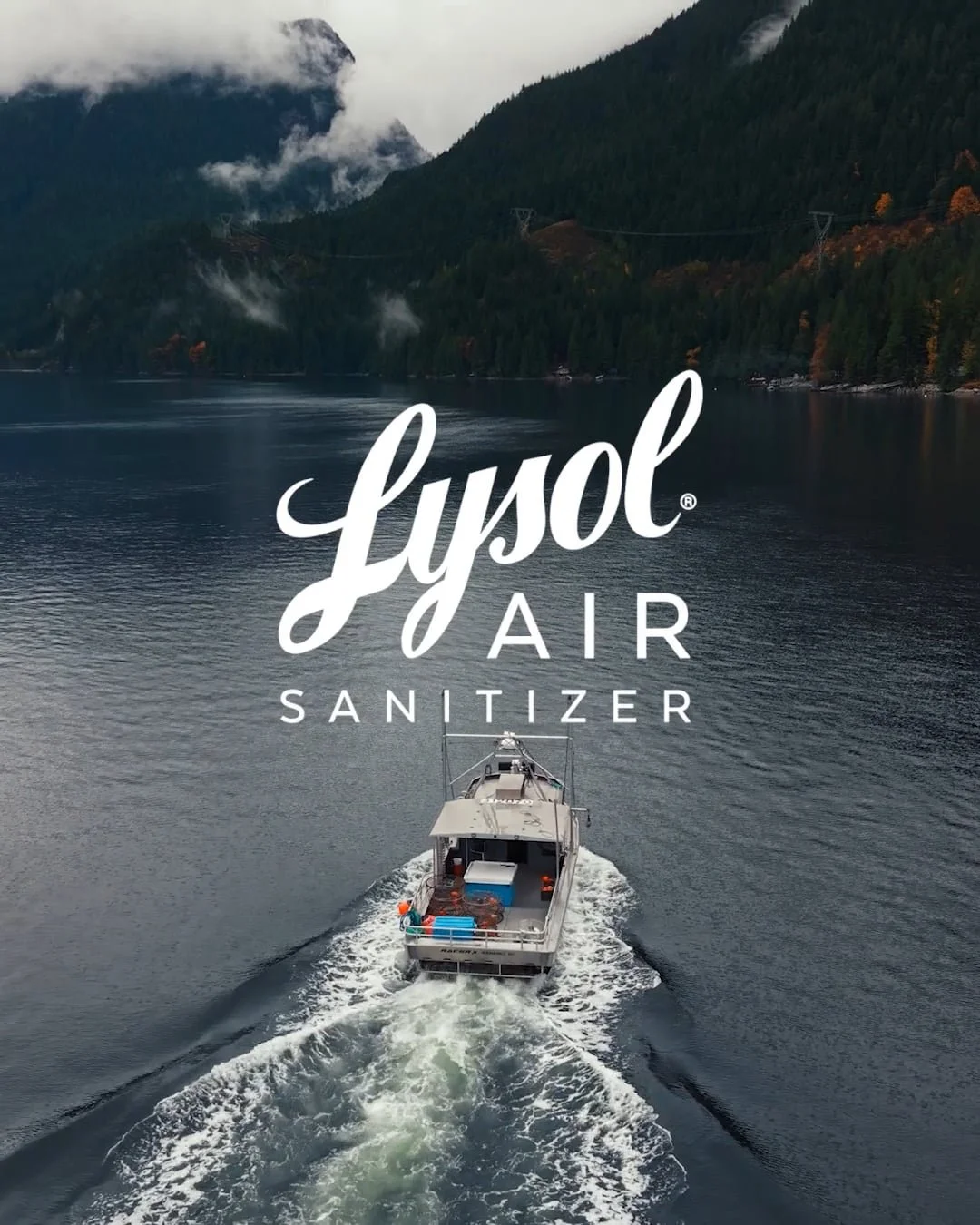 "Share the Love" Lysol