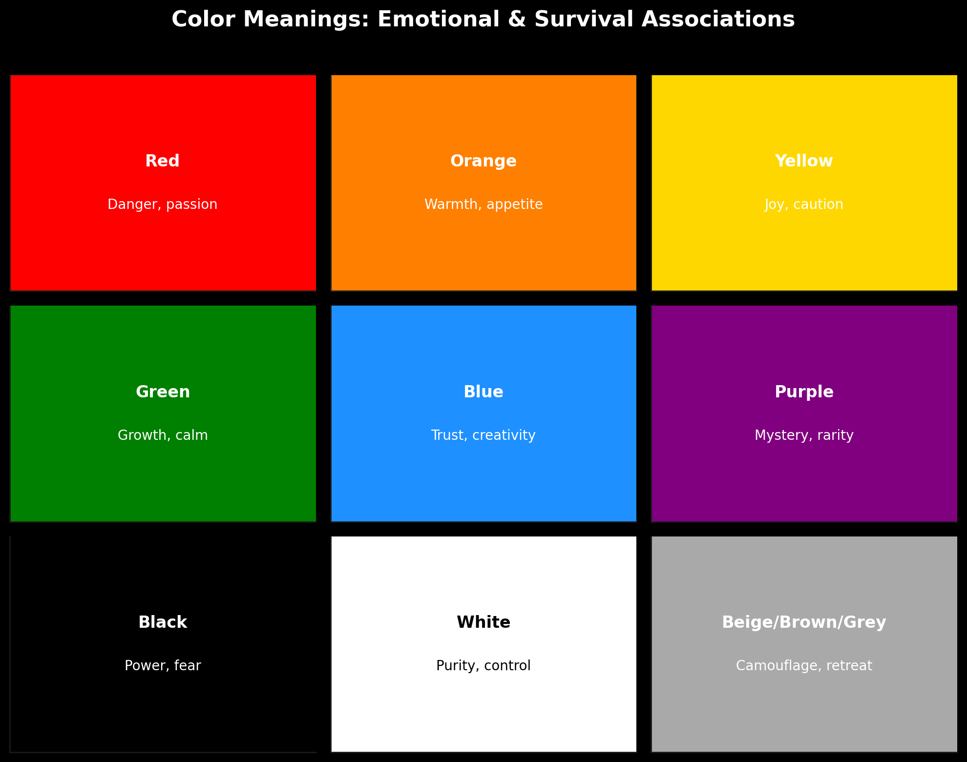 Why We Need Color: From Nature’s Survival to Our Muted Modern Lives ...