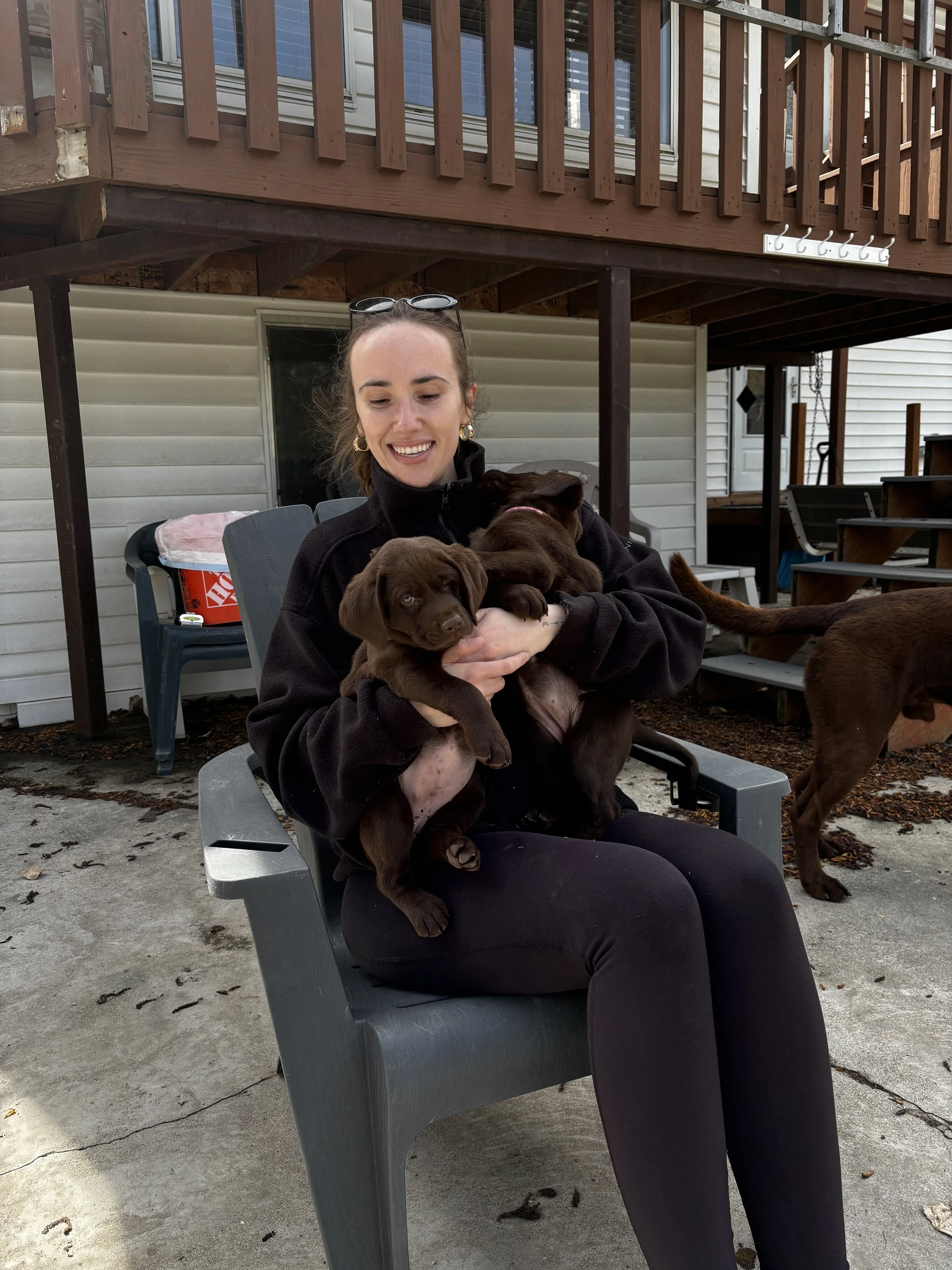 Roxi and Ridge about to have puppies