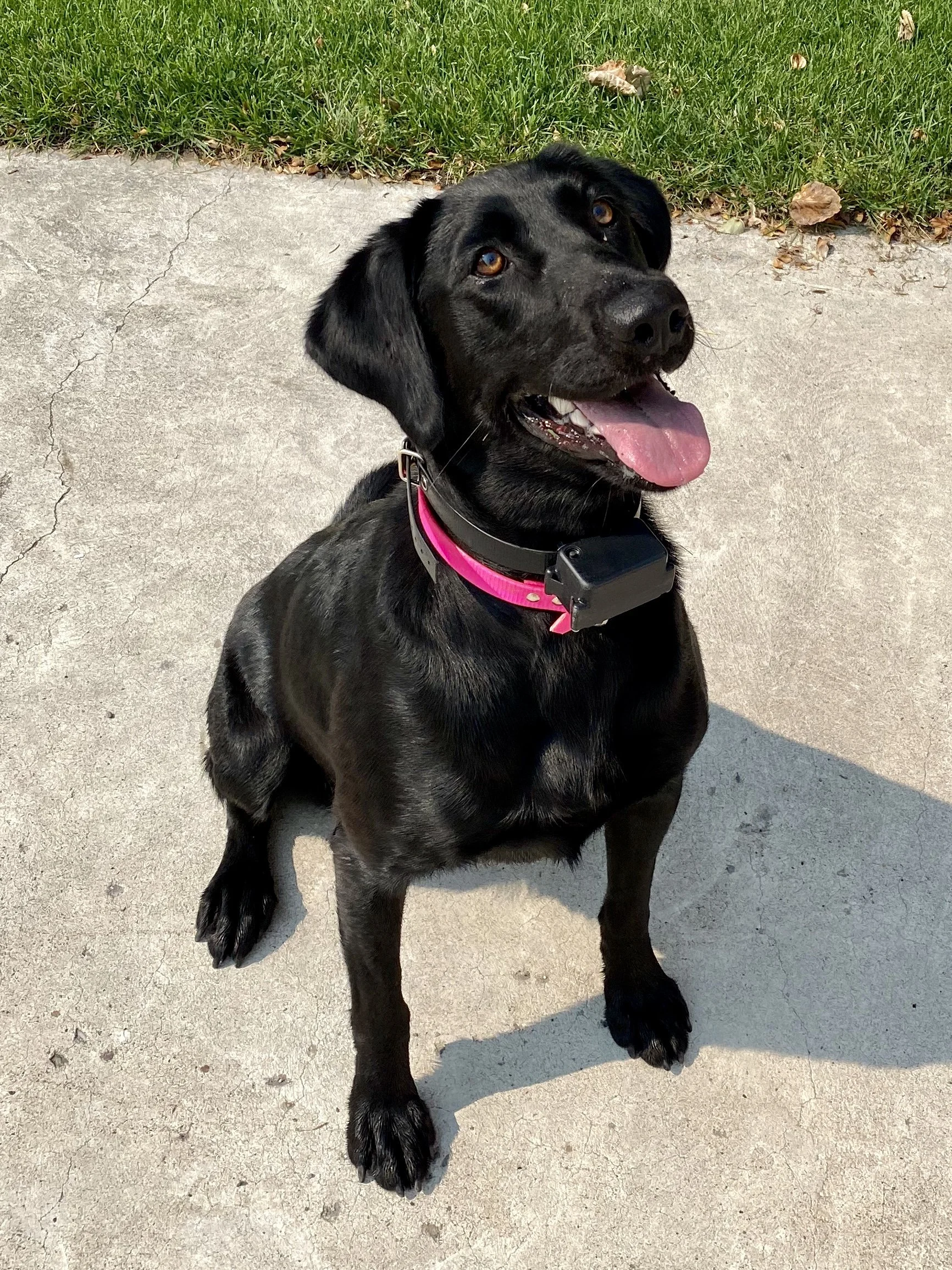 Luci and Ridge expecting March 8, 2026!