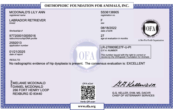 Screenshot 2026-08-02 at 5.31.15 PM.png