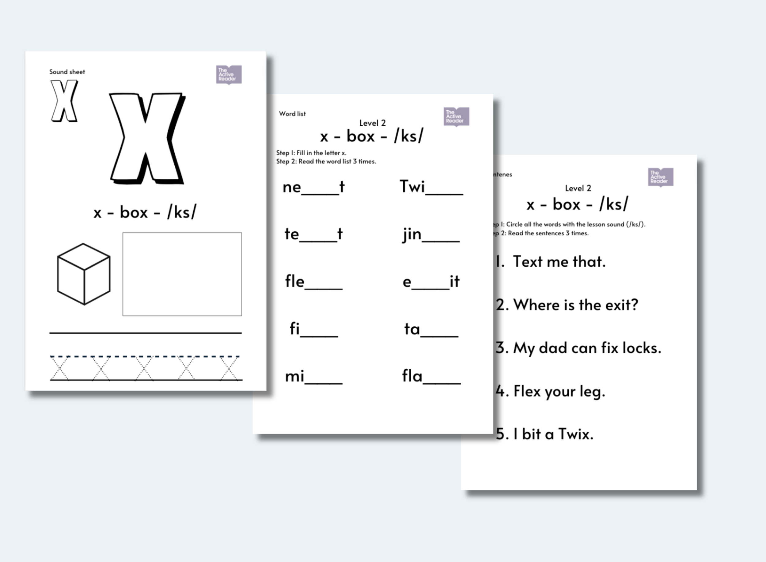 The Active Reader Worksheet Set - LEVEL 1 — The Active Reader