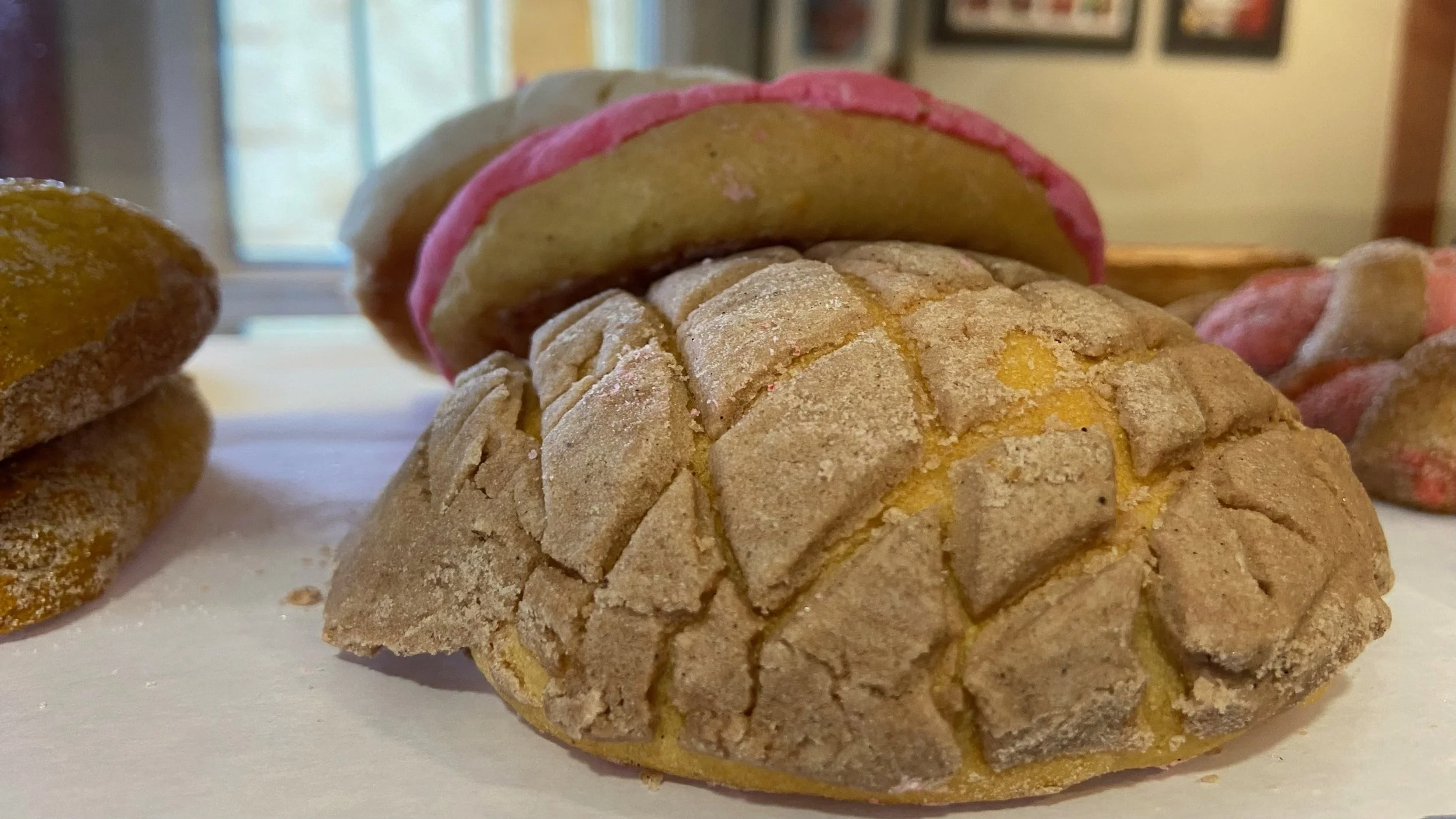 image_6487327 (2).JPG