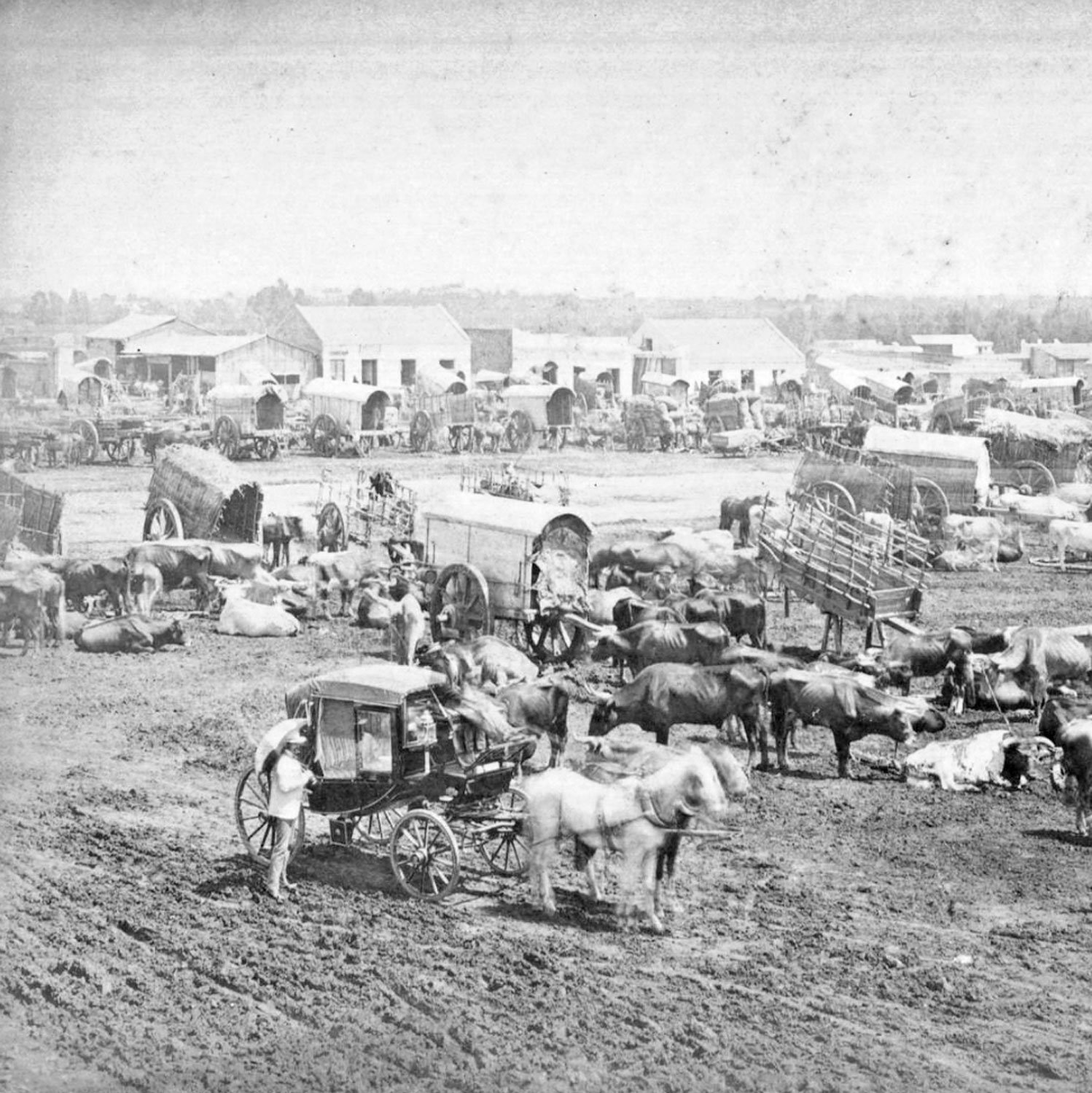 1919-hechos.jpg