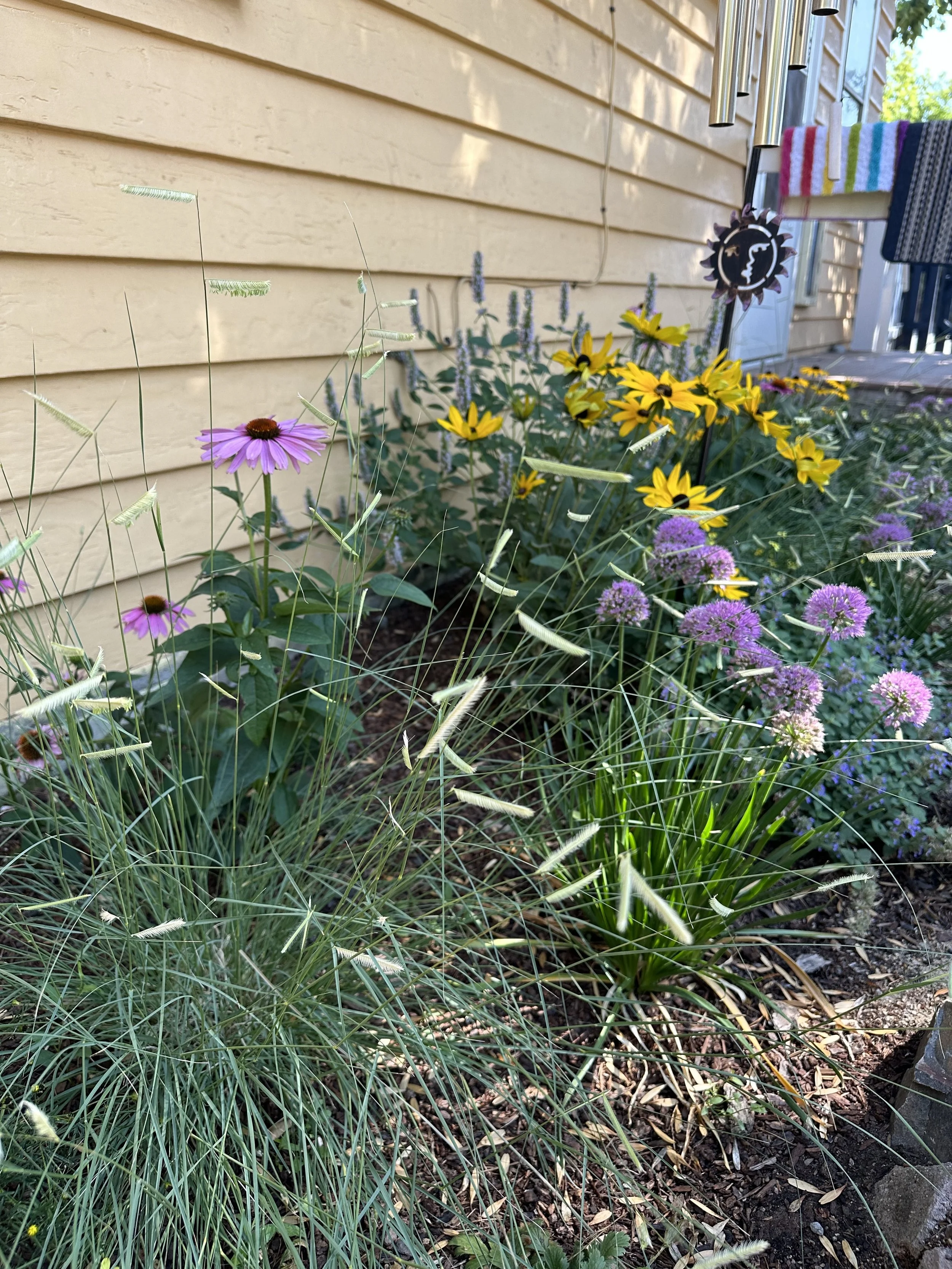 Flower garden with purple, yellow, and purple flowers against a yellow house wall, with a wind chime and a colorful towel hanging nearby.