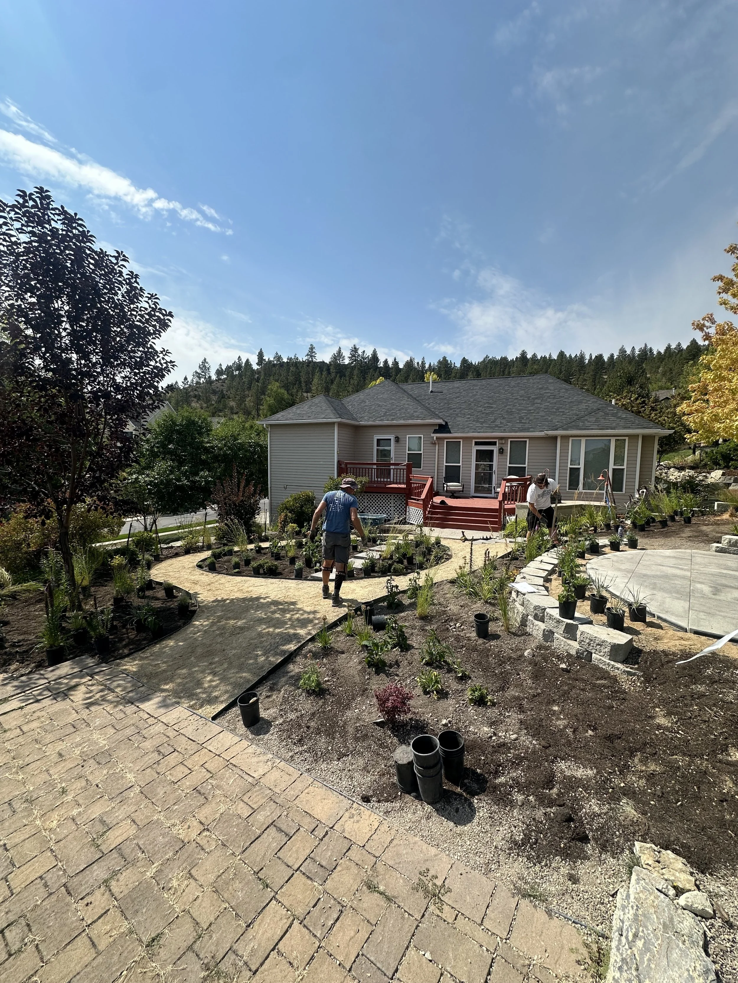People planting trees and shrubs in a landscaped backyard with a house and a hill with trees in the background.