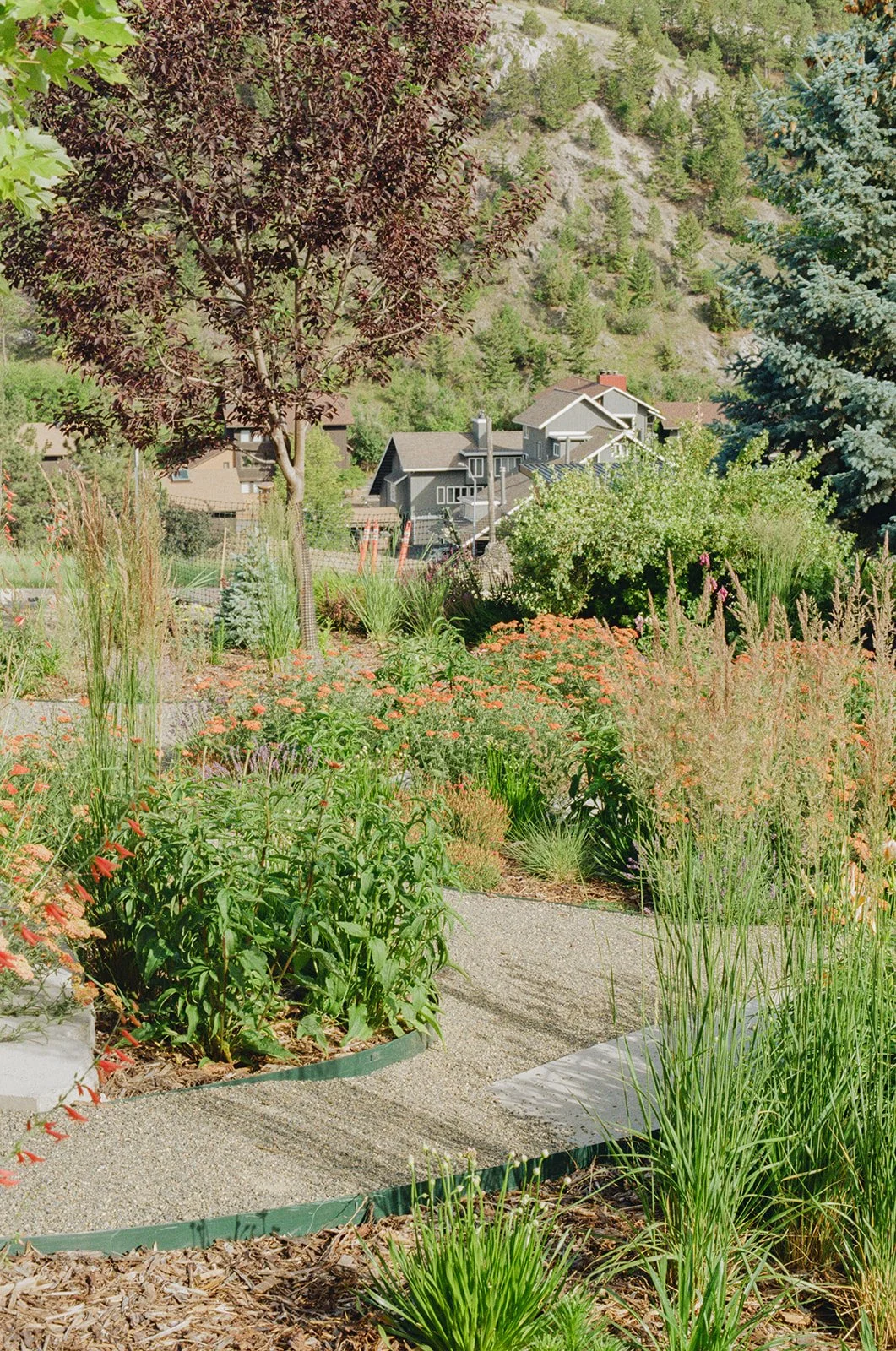 july-lightsonggardens-32_websize.jpg