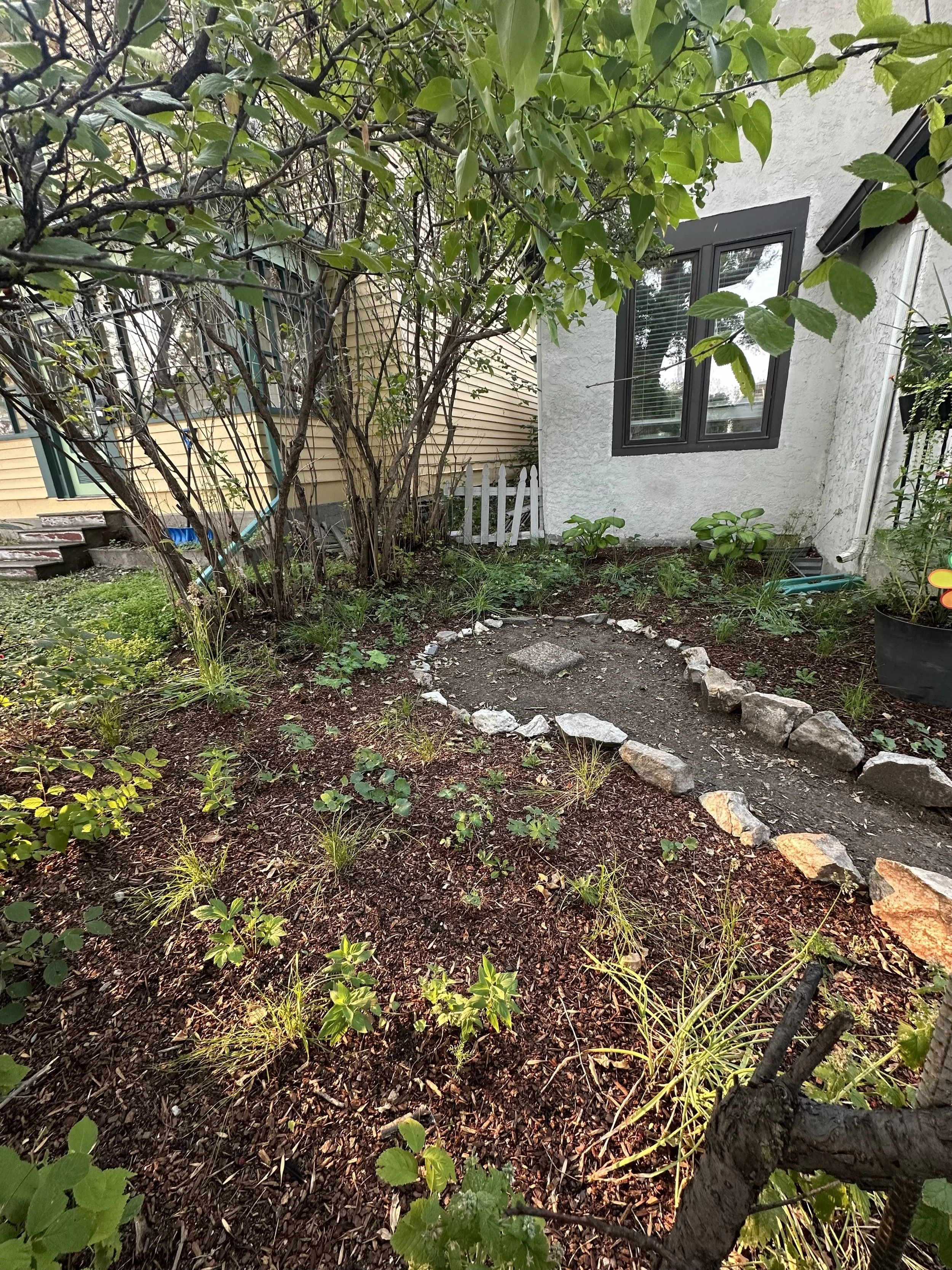 Small backyard garden with plants, shrubs, and a newly laid stone pathway. A large tree on the left and a white house with a window on the right.