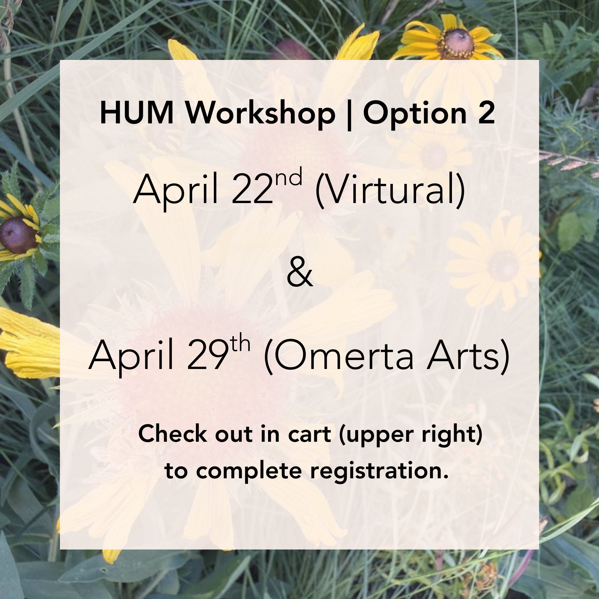 Your paragraph text (2).png