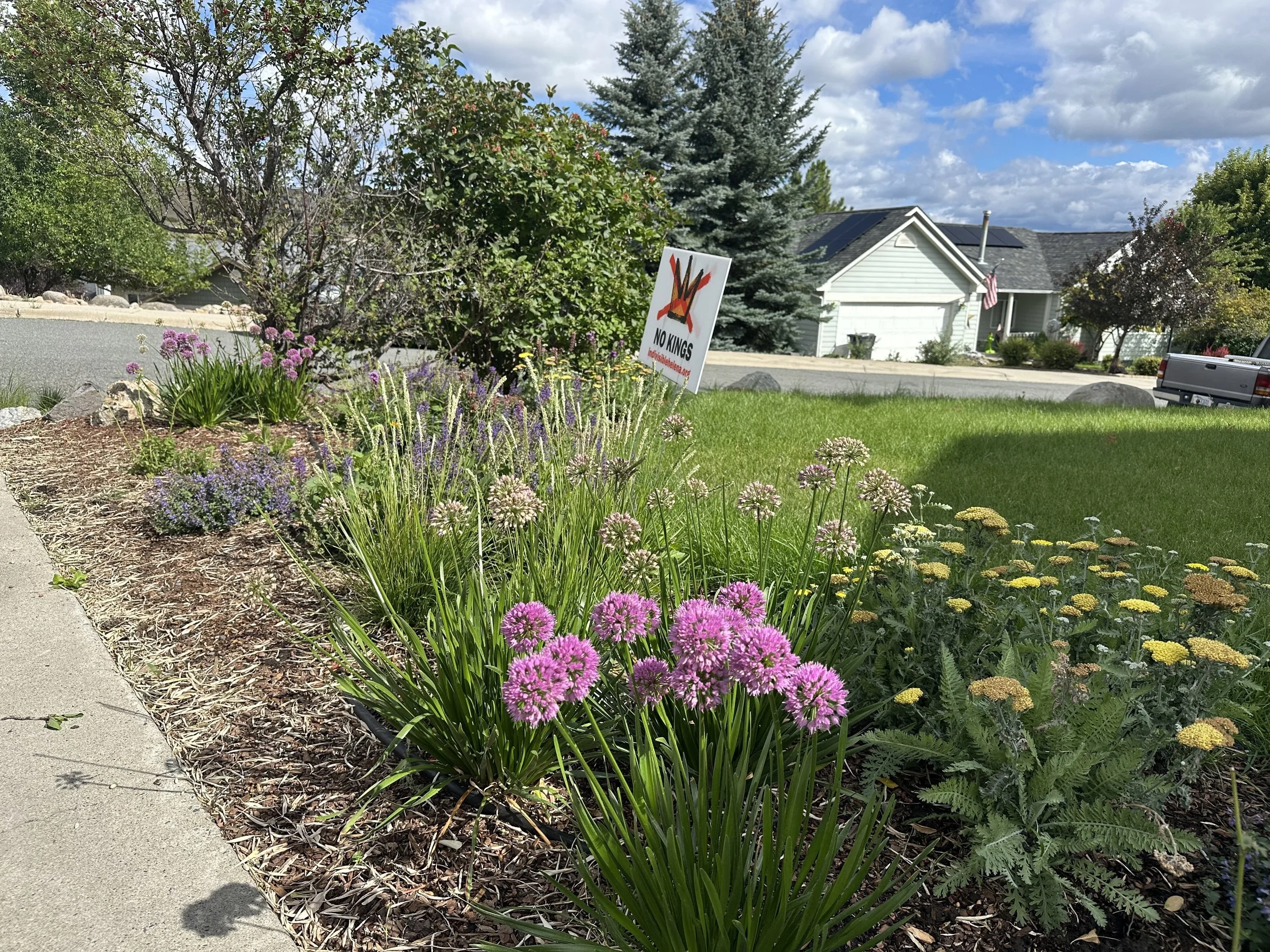 Colorful flower bed with purple and yellow flowers in front of a green lawn, a house with a white exterior, trees, and a blue sky with clouds in the background.