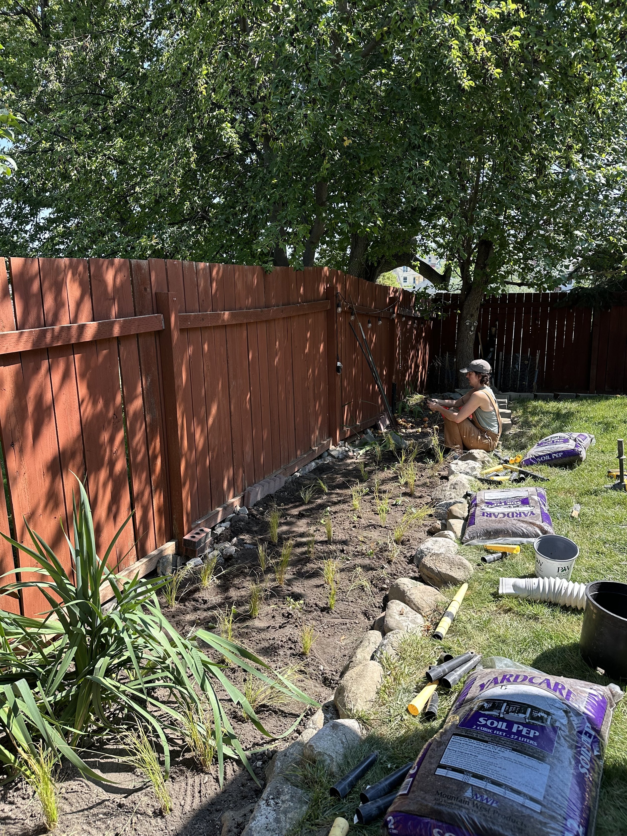 People gardening and planting grass in a backyard with a red wooden fence and trees.
