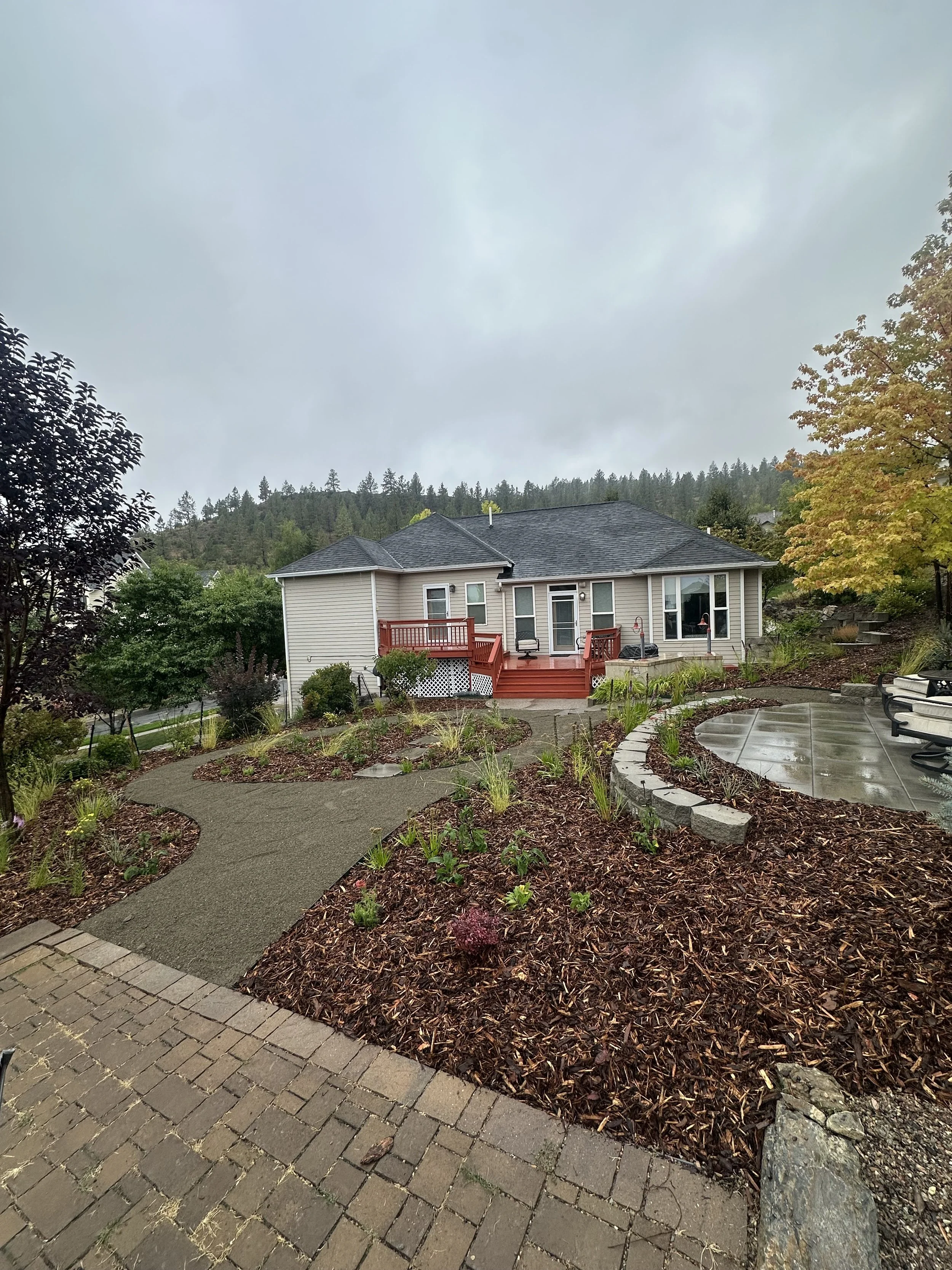 Backyard garden with pathway, mulch beds, and a house with a red deck, on a rainy overcast day.