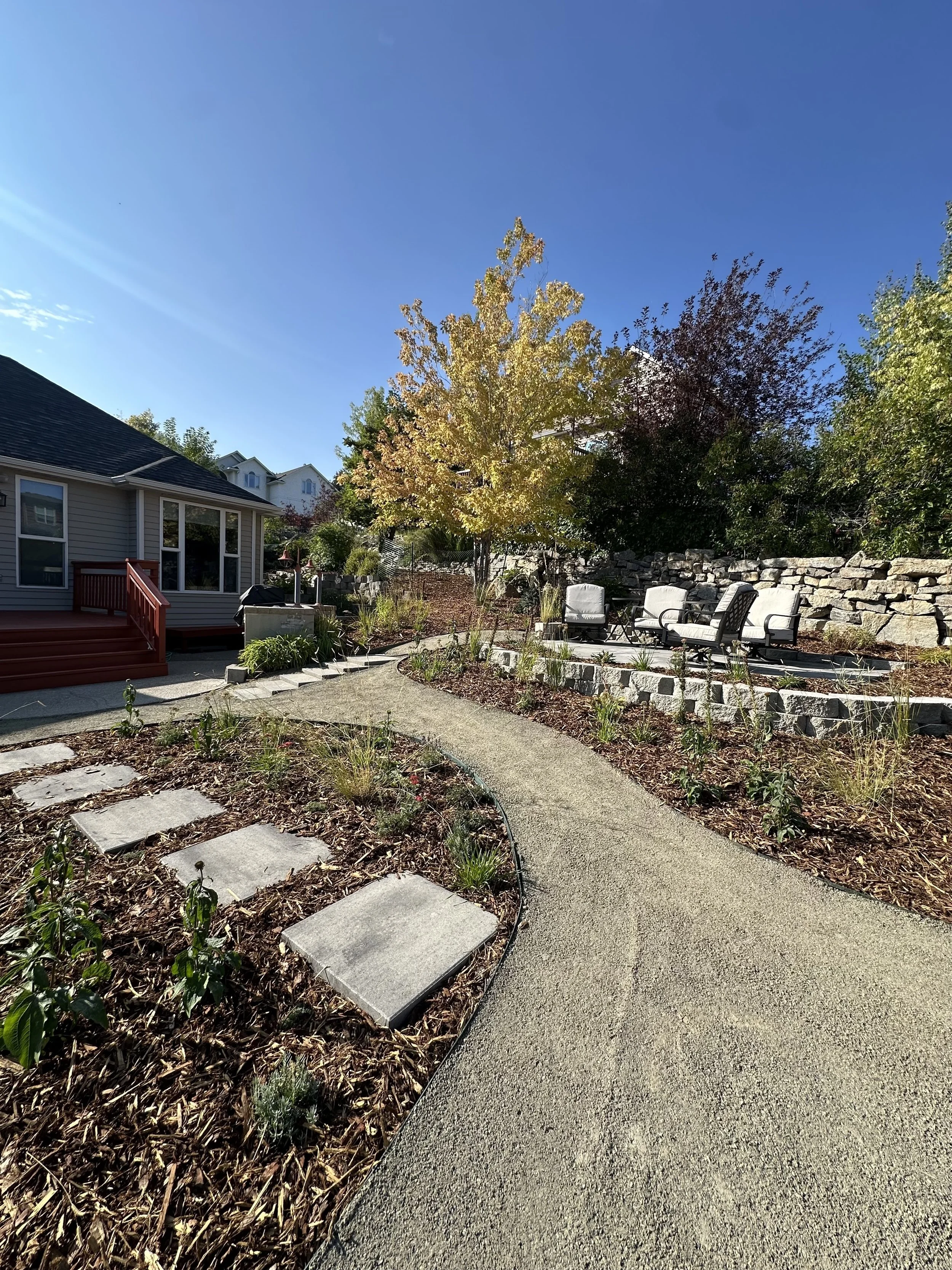 A backyard garden with a paved pathway, outdoor seating area, and a variety of trees and plants under a clear blue sky.