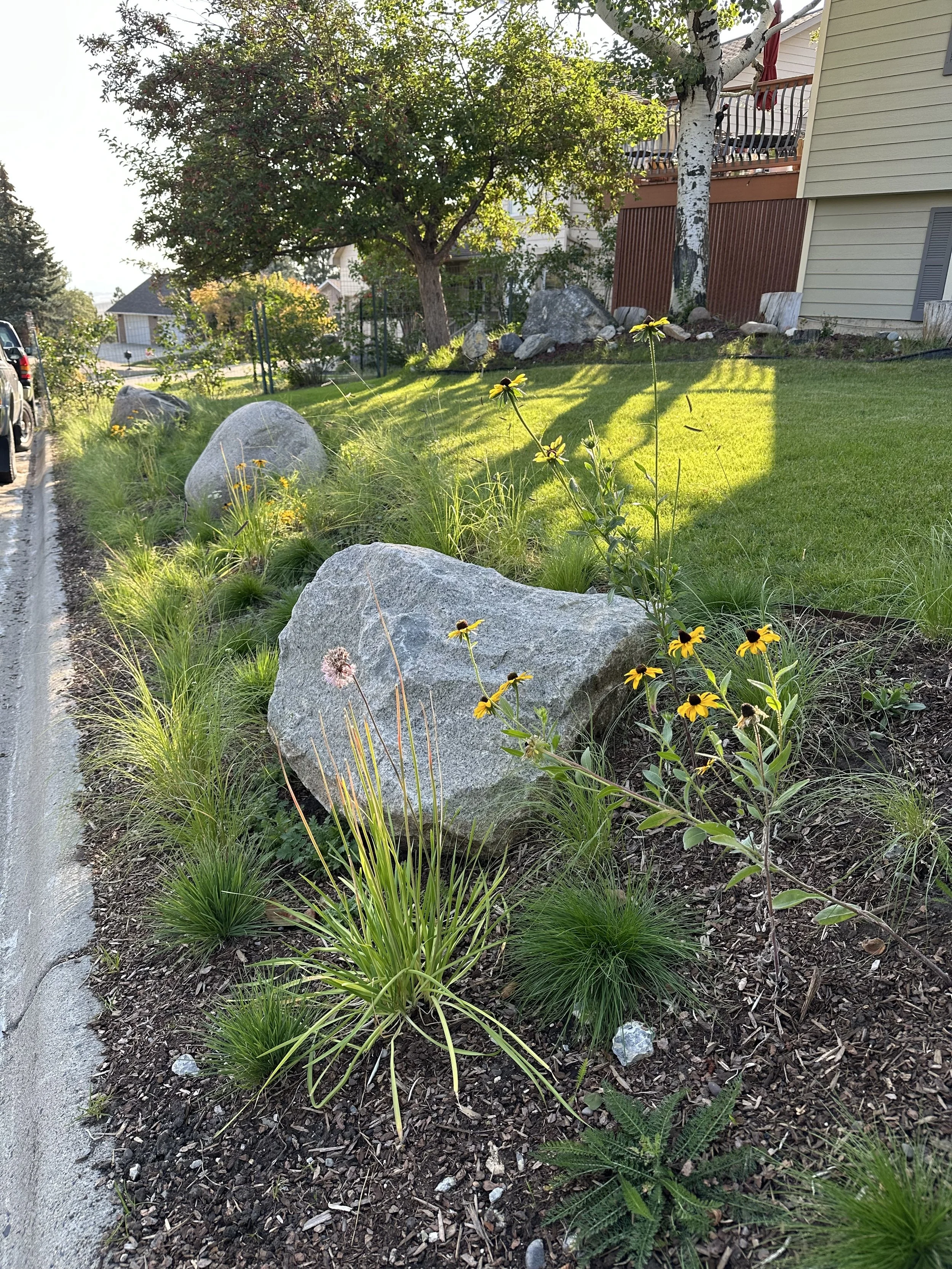 A landscaped yard with large rocks, green grass, and various plants. The background shows a tree, a house with a porch, and a parked vehicle.
