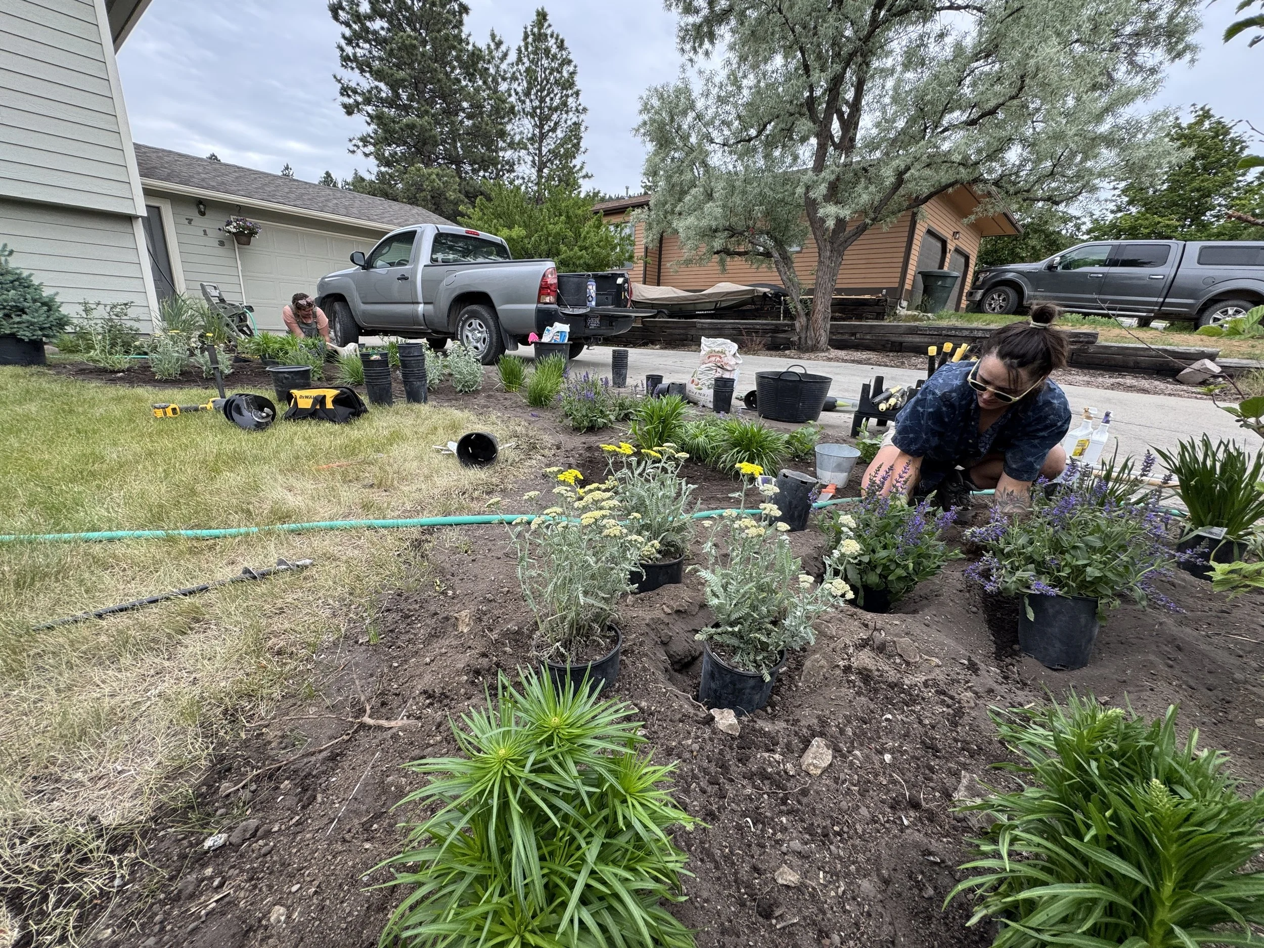 People planting flowers and shrubs in a garden bed in a residential backyard, with gardening tools nearby and parked trucks in the background.