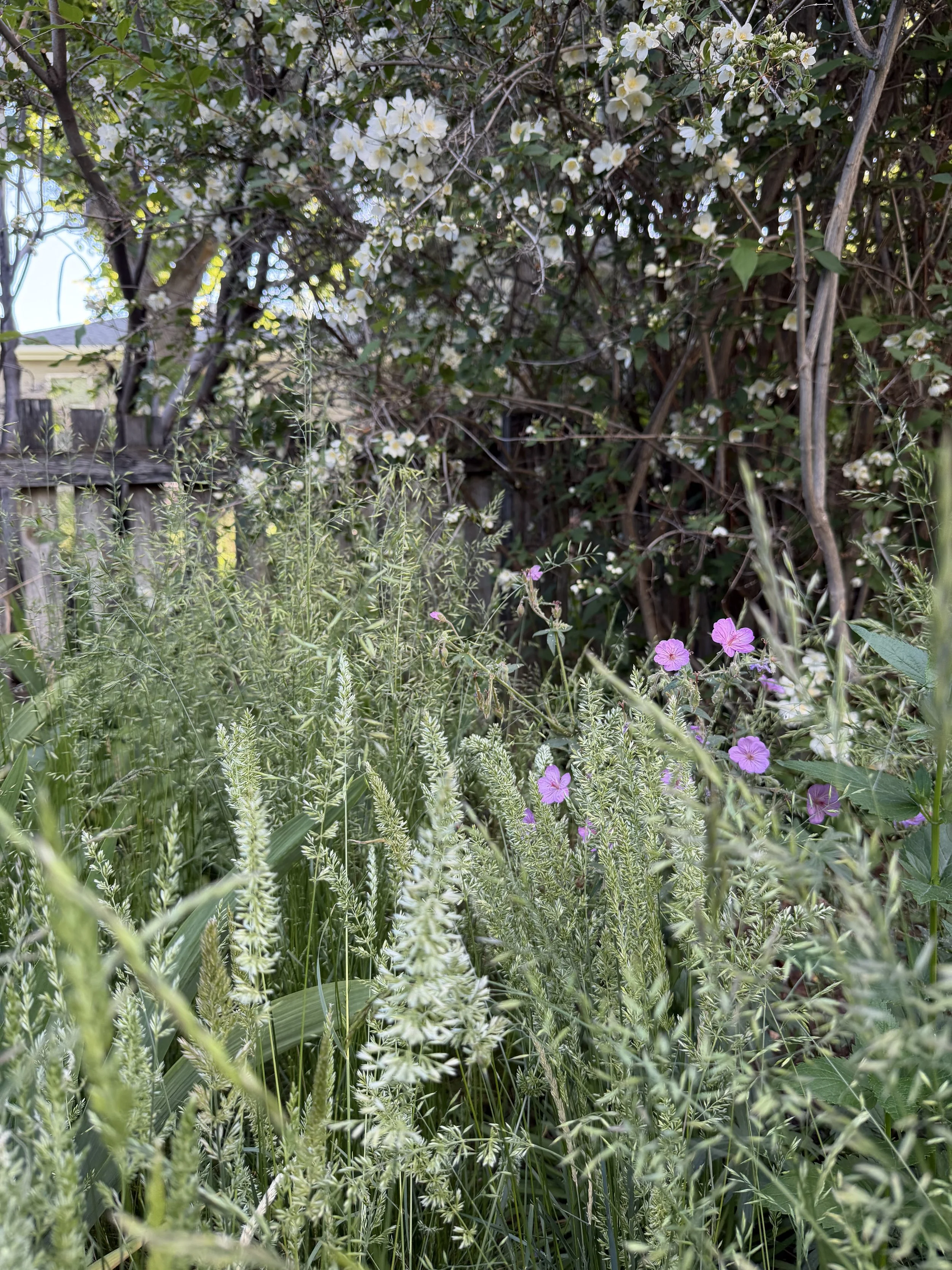 IMG_3728.jpeg