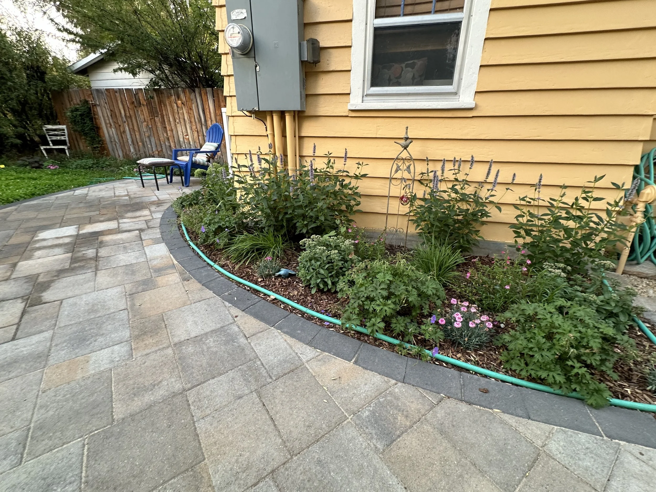 A front yard with a curved paved pathway, a yellow house wall with a window, a garden bed with various plants, a hose, and outdoor furniture including a blue chair with a cushion and a white chair in the background.