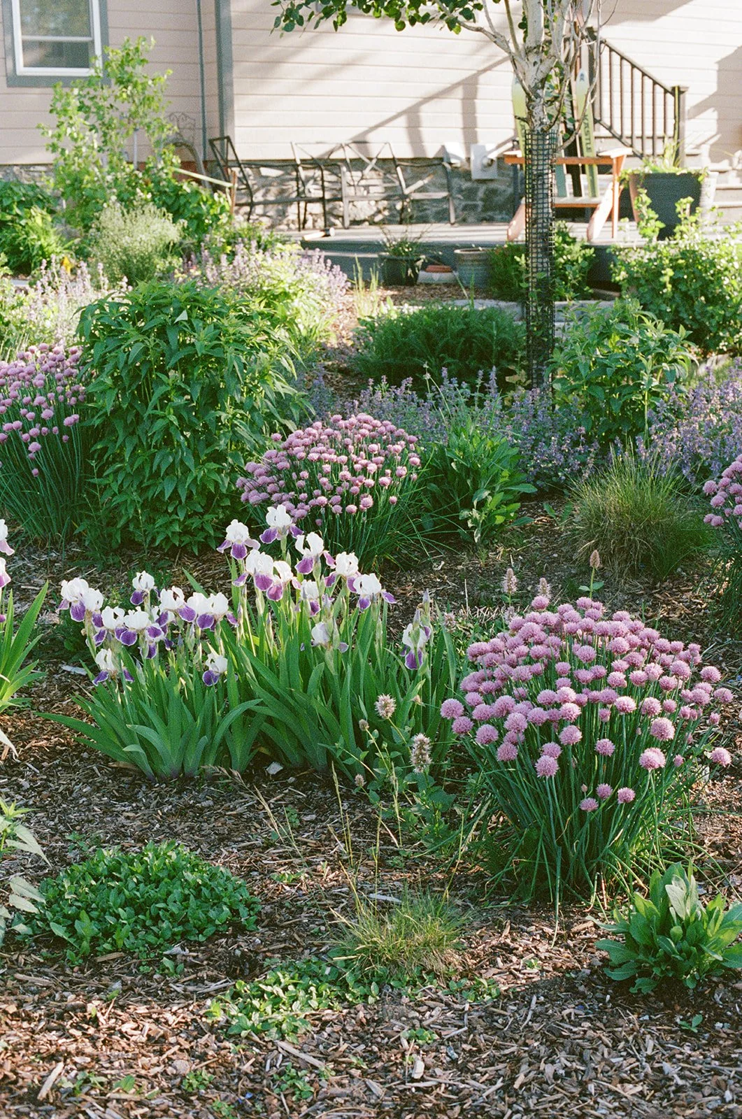LightSongGardens-2-3_websize.jpg