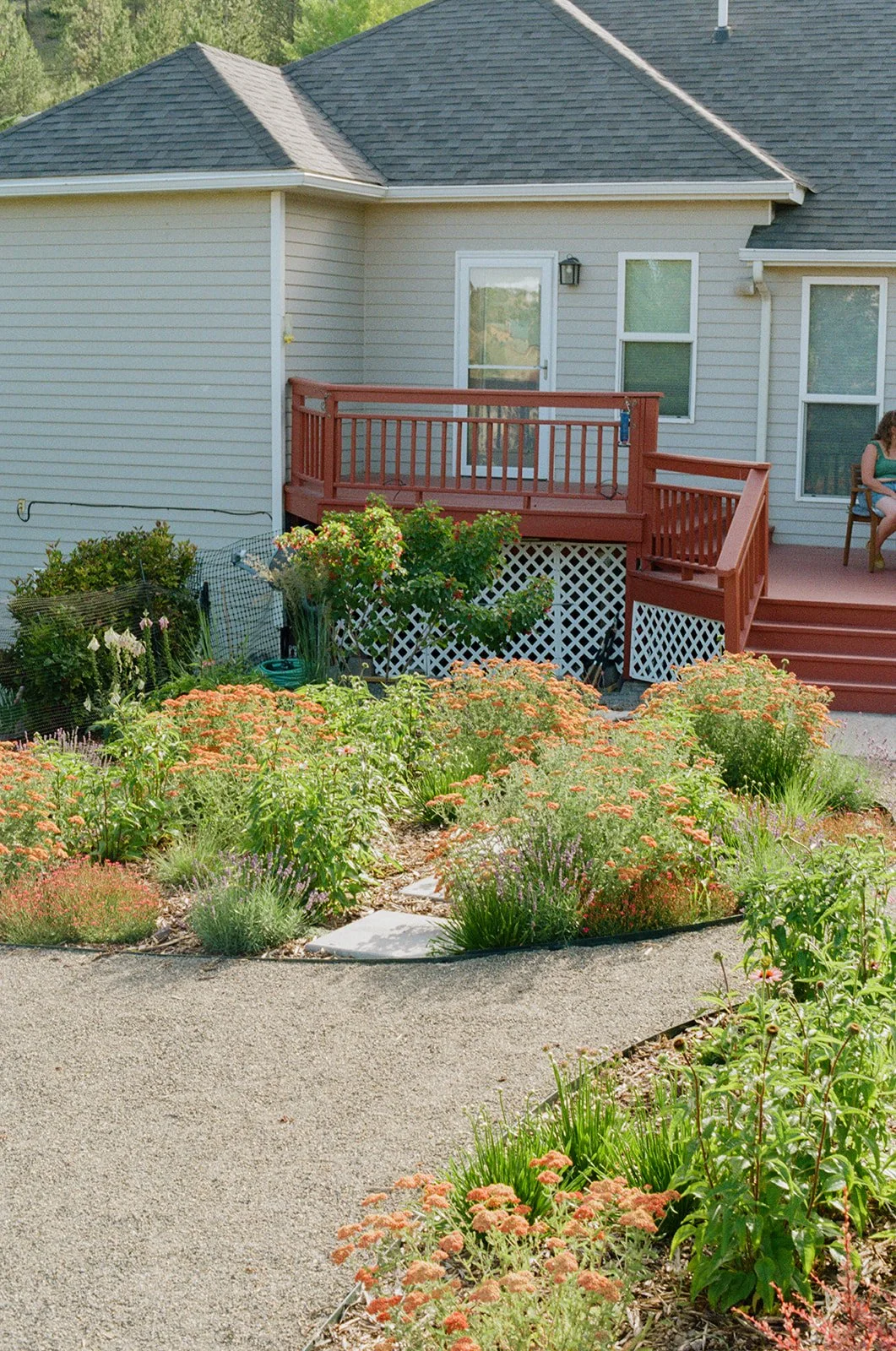 july-lightsonggardens-29_websize (1).jpg
