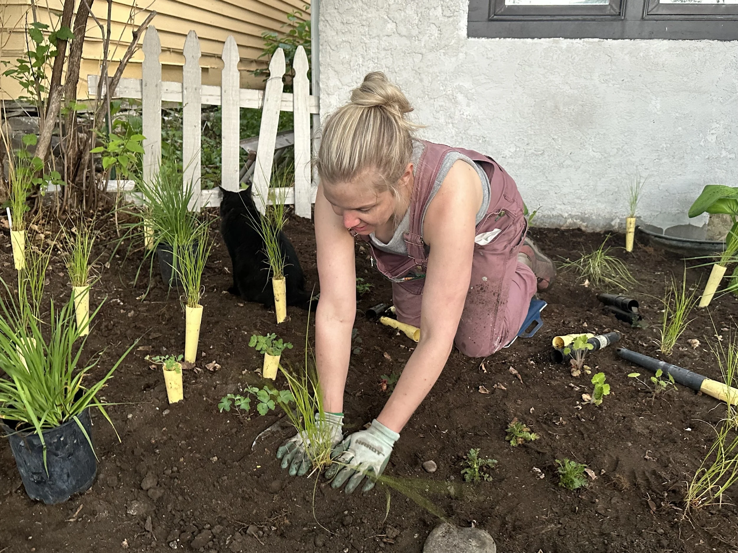 Woman planting grass in a garden with a cat sitting nearby.