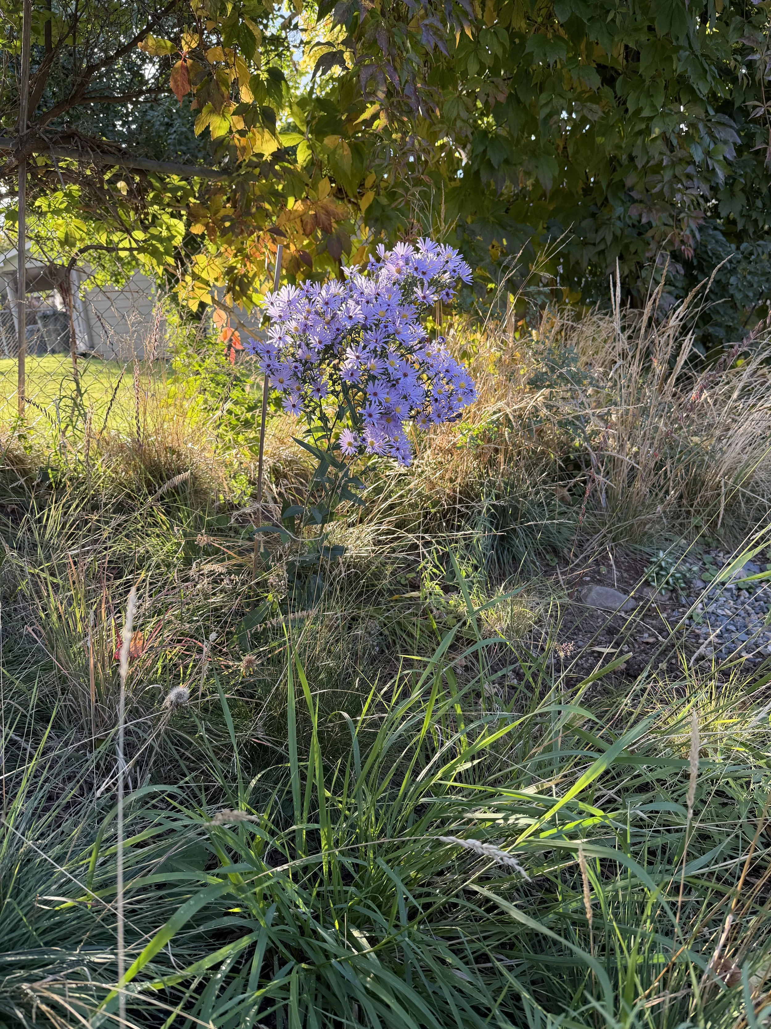 IMG_6498.jpeg