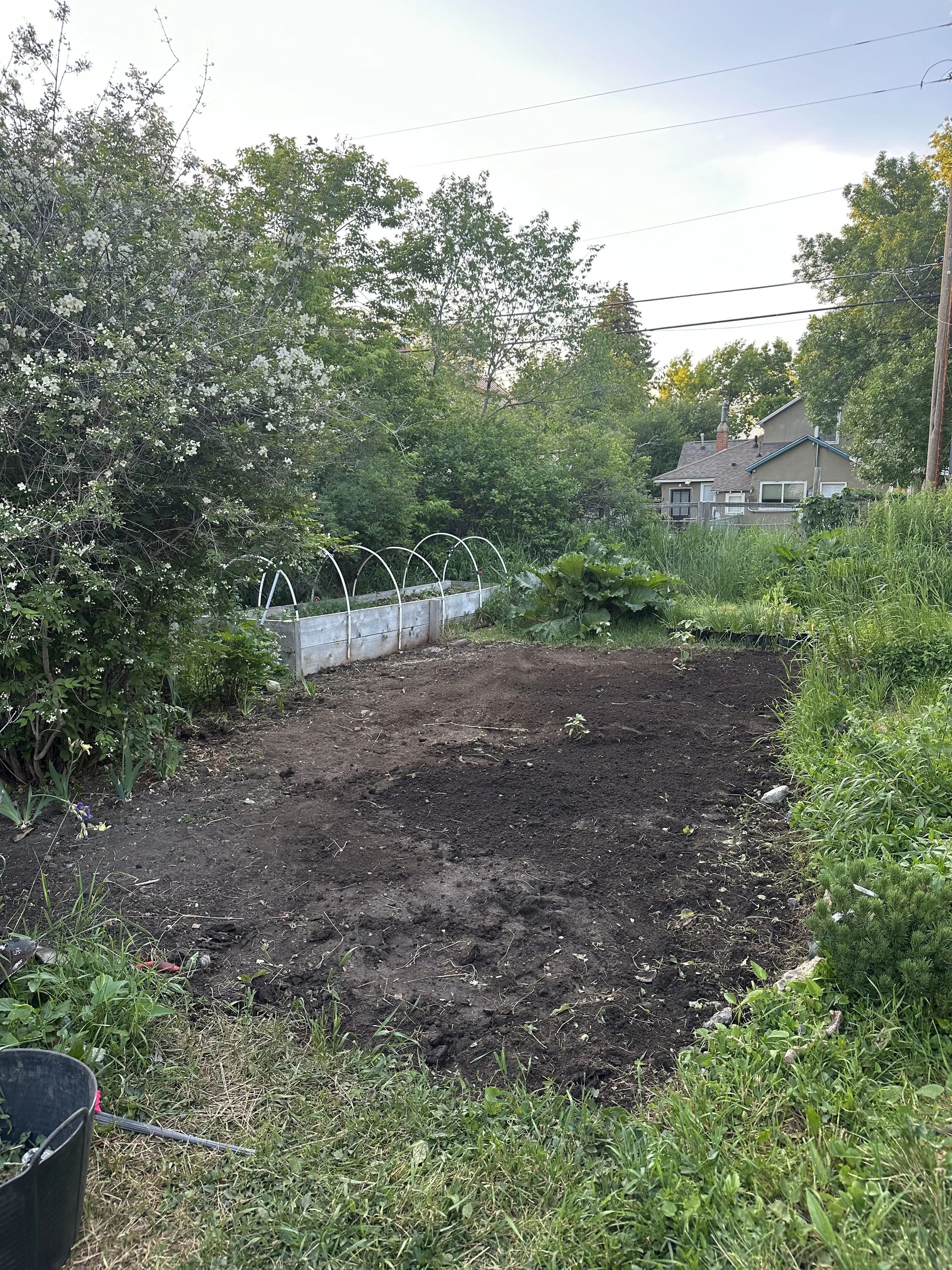 Sunken Meadow Site- Before