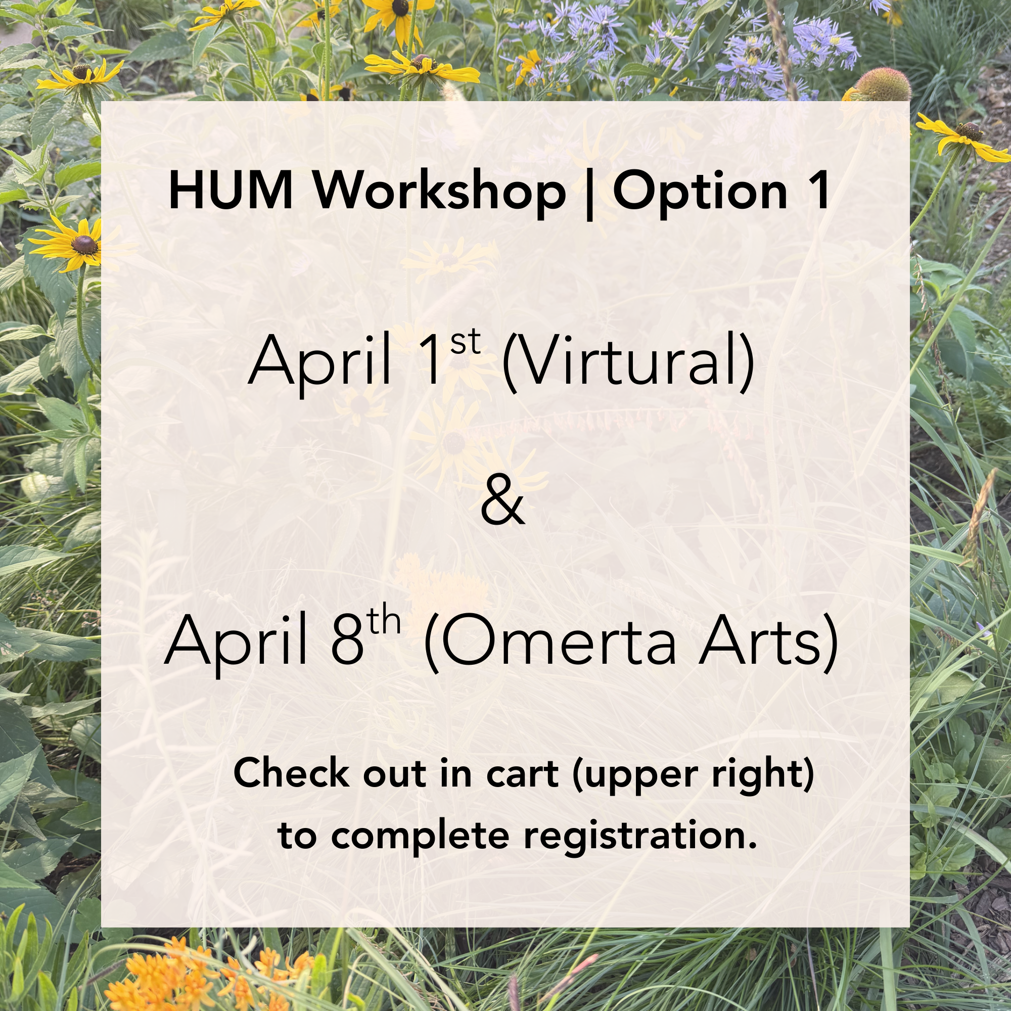 HUM Design Workshop