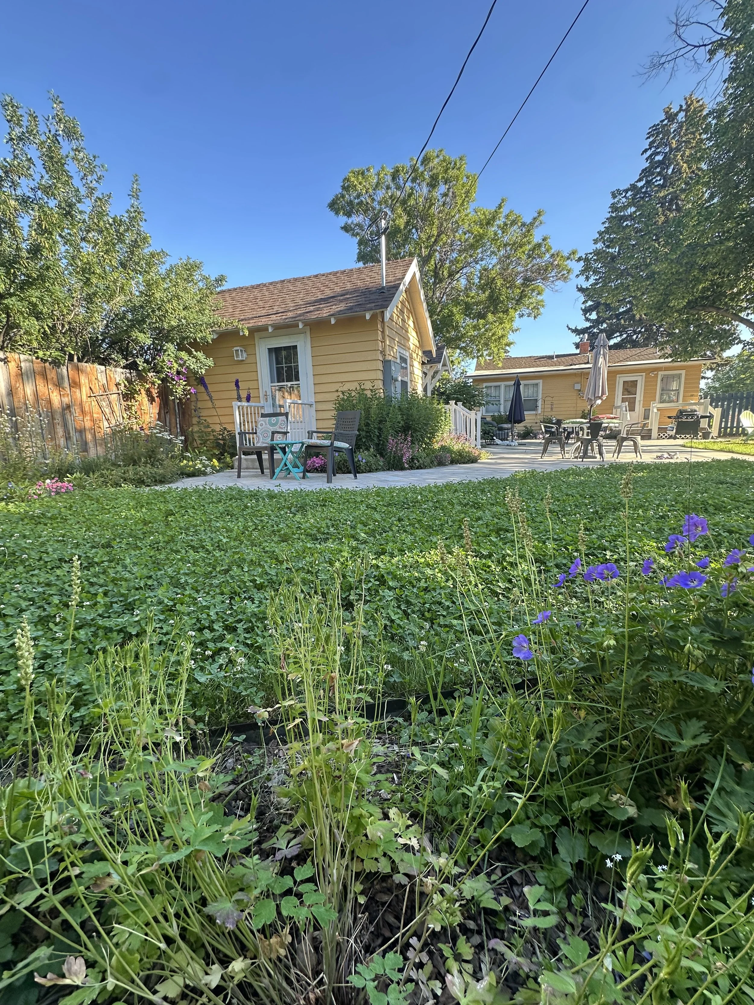 A backyard with a patch of green grass, flowering plants, and a small yellow house with a brown roof. There are outdoor tables and chairs, with a few umbrellas, on a patio area.