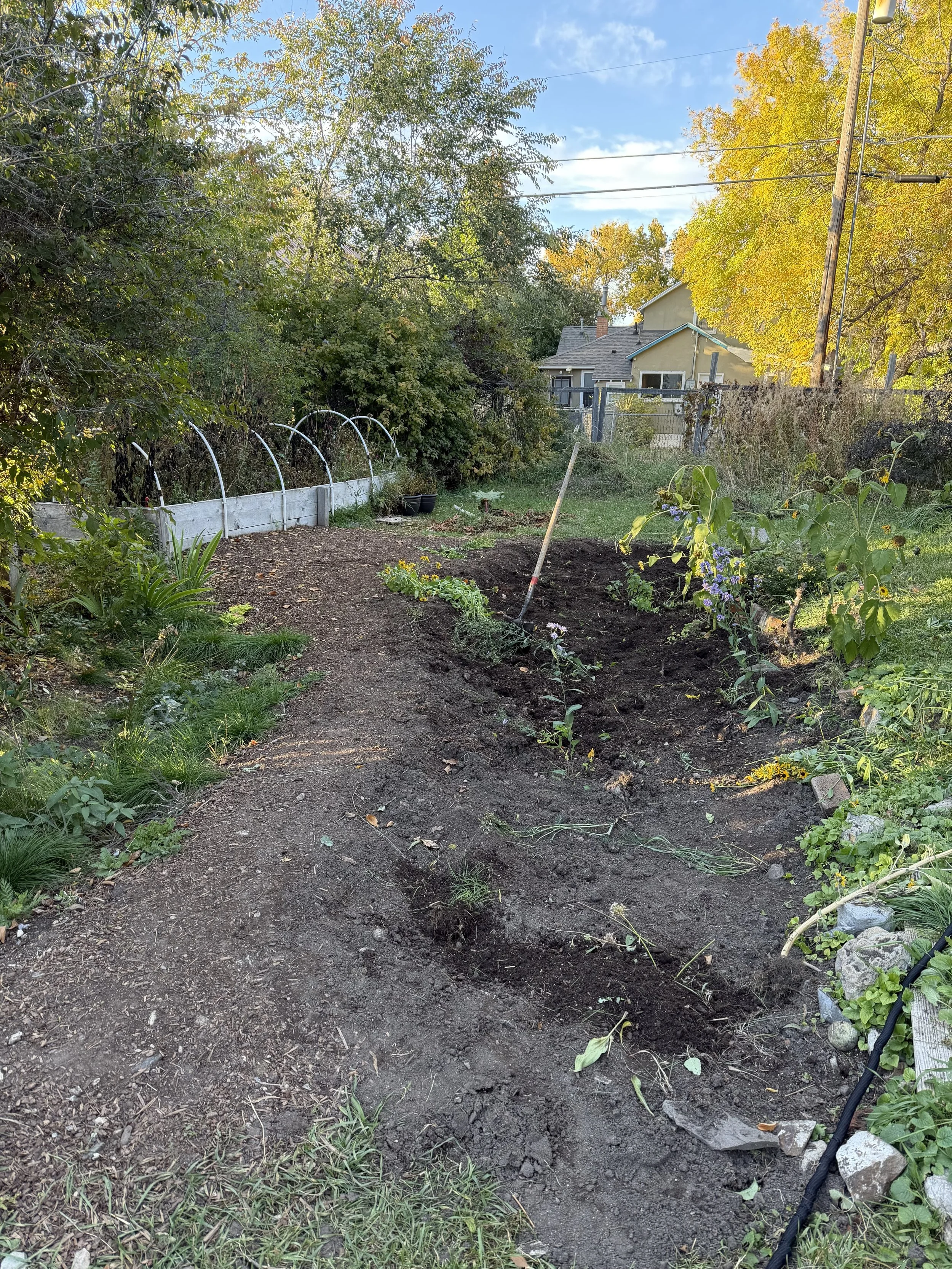 Goodbye Sunken Meadow