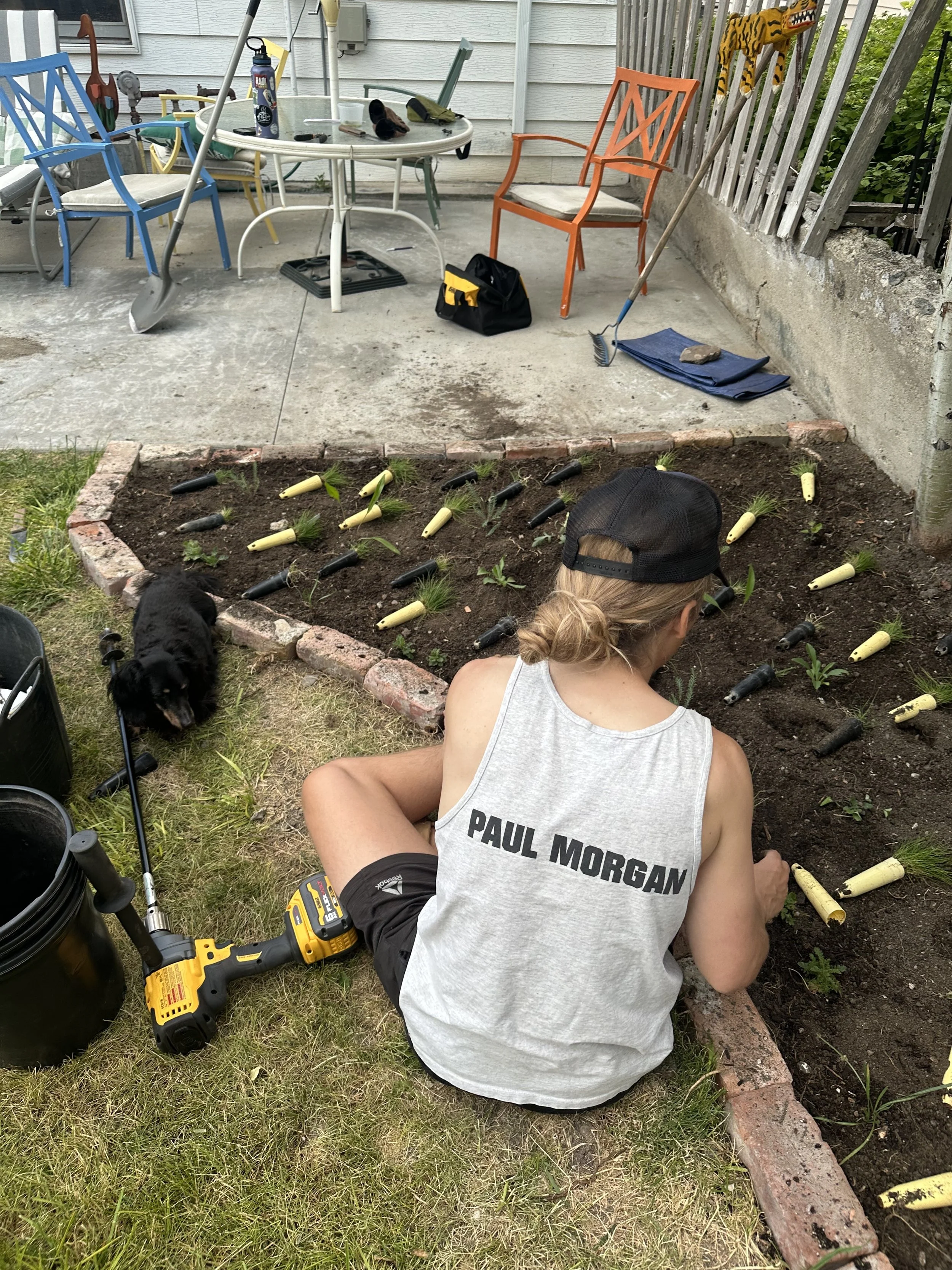 Person planting in a garden bed with a black dog nearby, gardening tools, and a secondhand-looking backyard patio with chairs, a table, and various gardening supplies in the background.