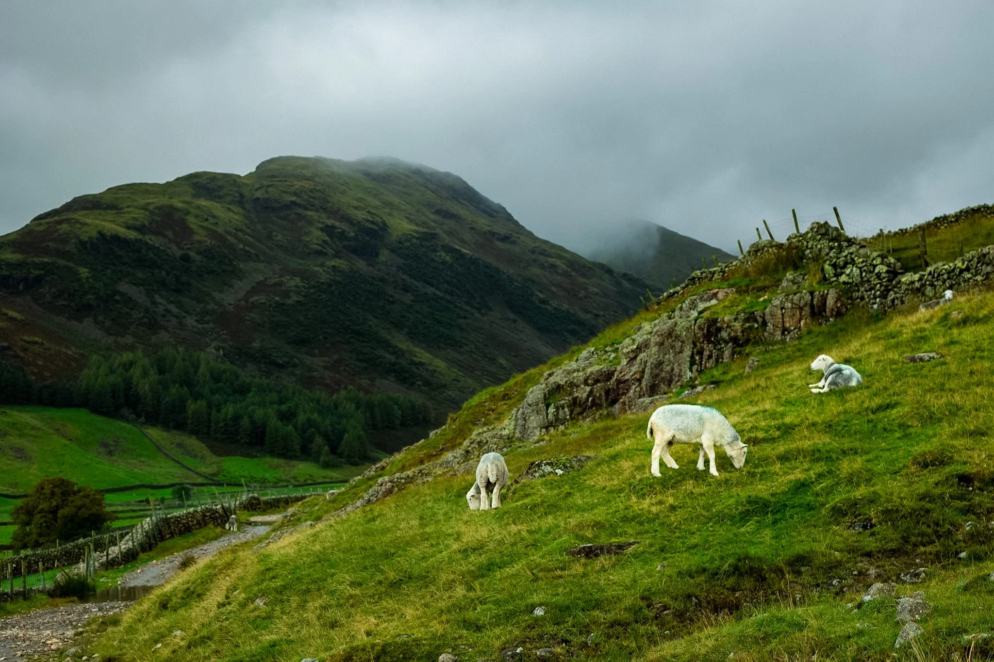_E4A7770 (1).jpg