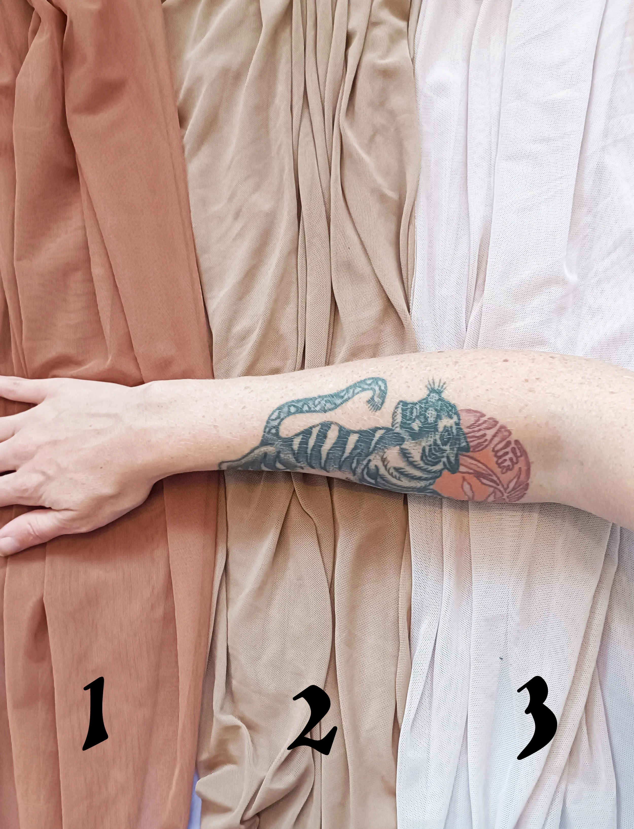 skin tones.jpg