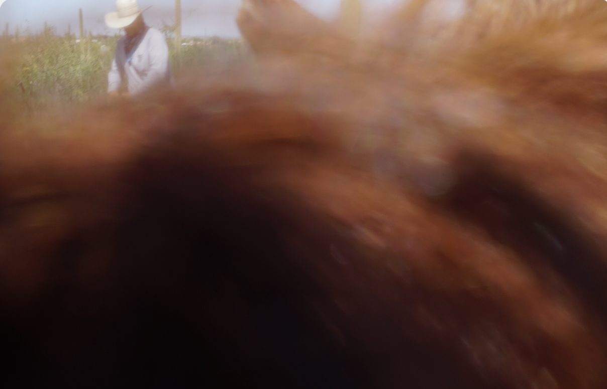 Screenshot 2026-04-11 at 5.48.54 PM.png