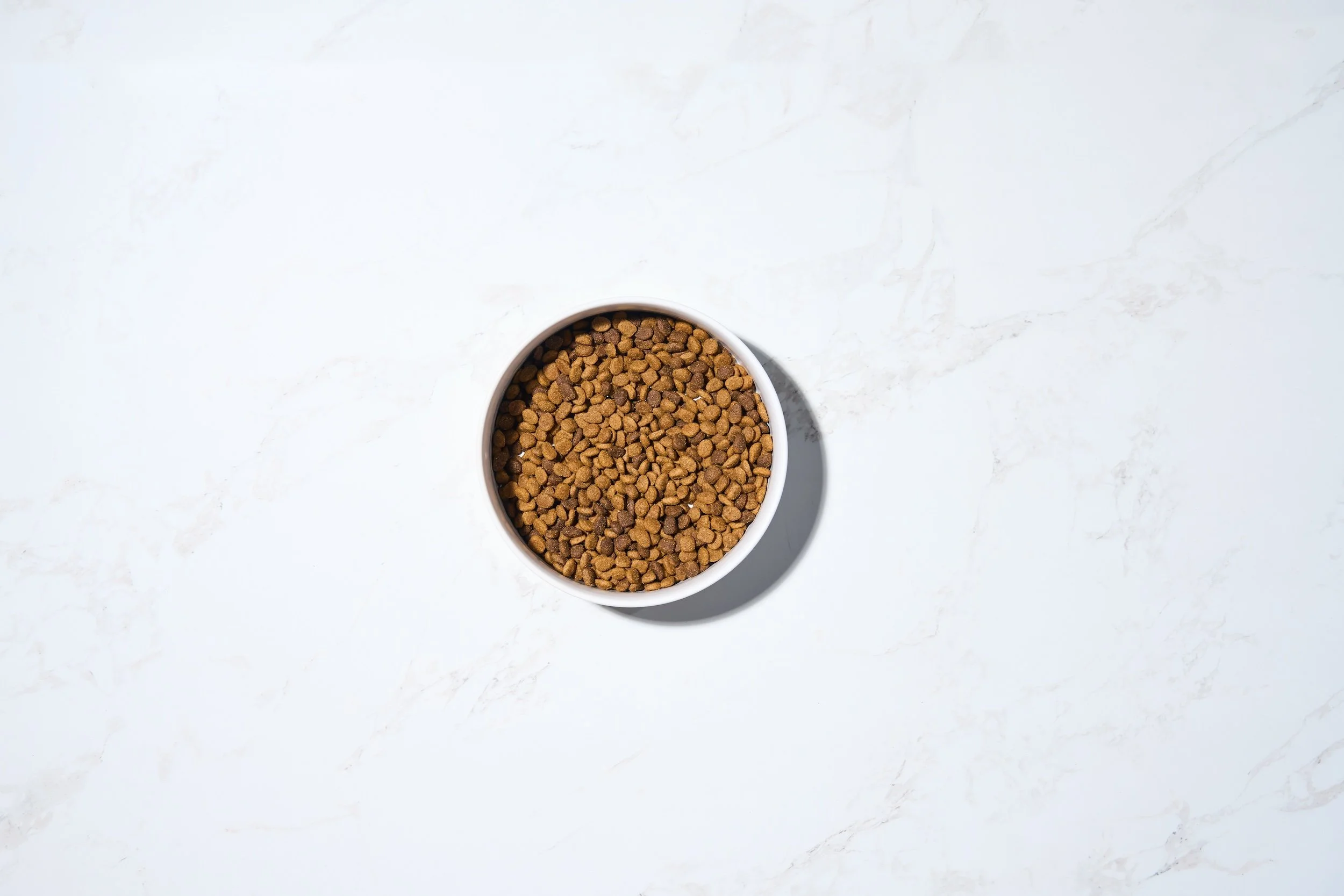 Flat Lay product photography of dog food in a bowl on a marble background 